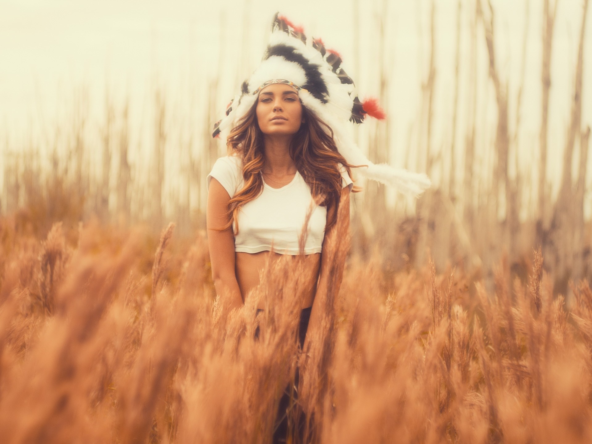 Woman wearing a Native American headdress in a field HD Wallpaper