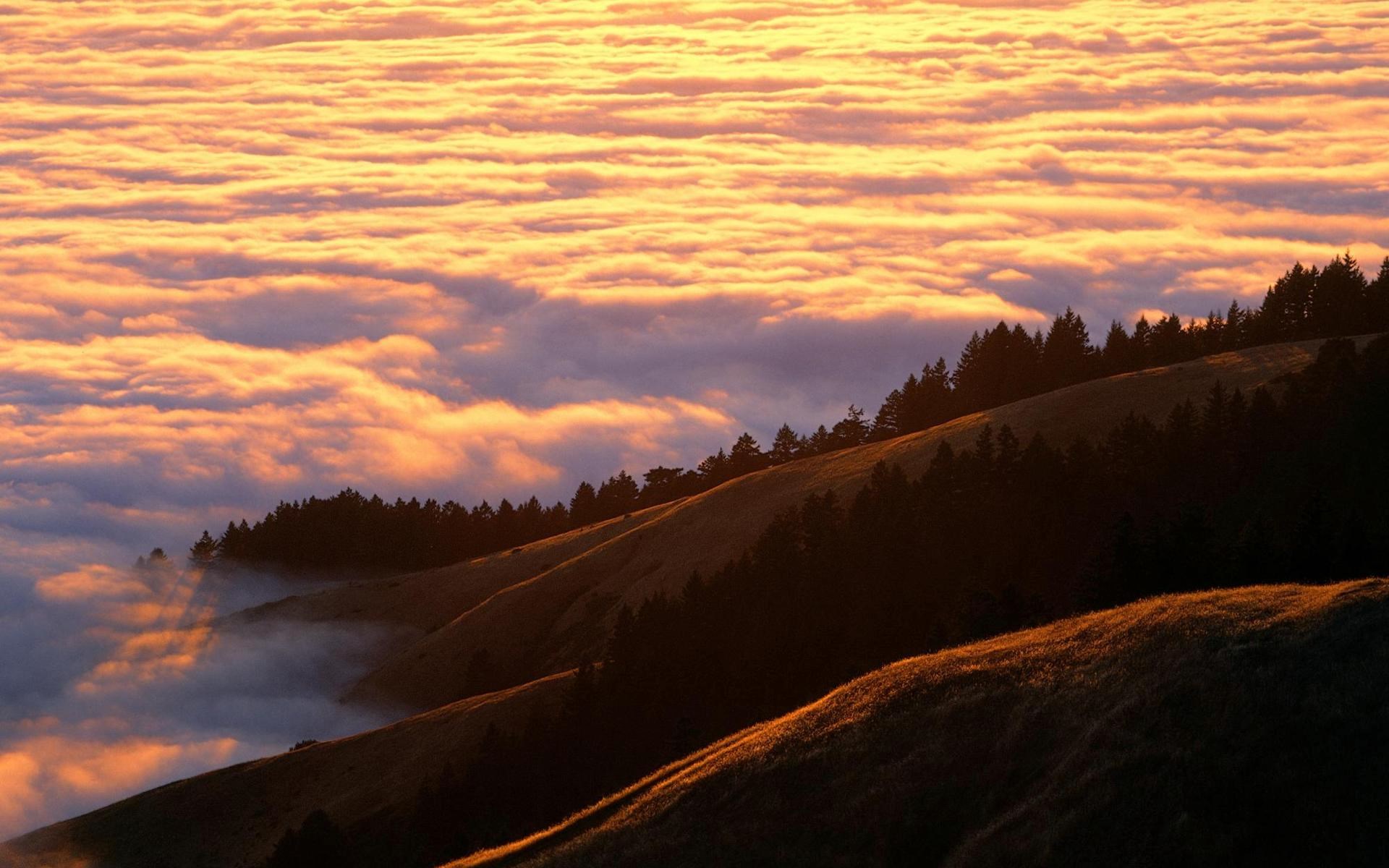 Rolling hills covered in fog at sunset HD Wallpaper