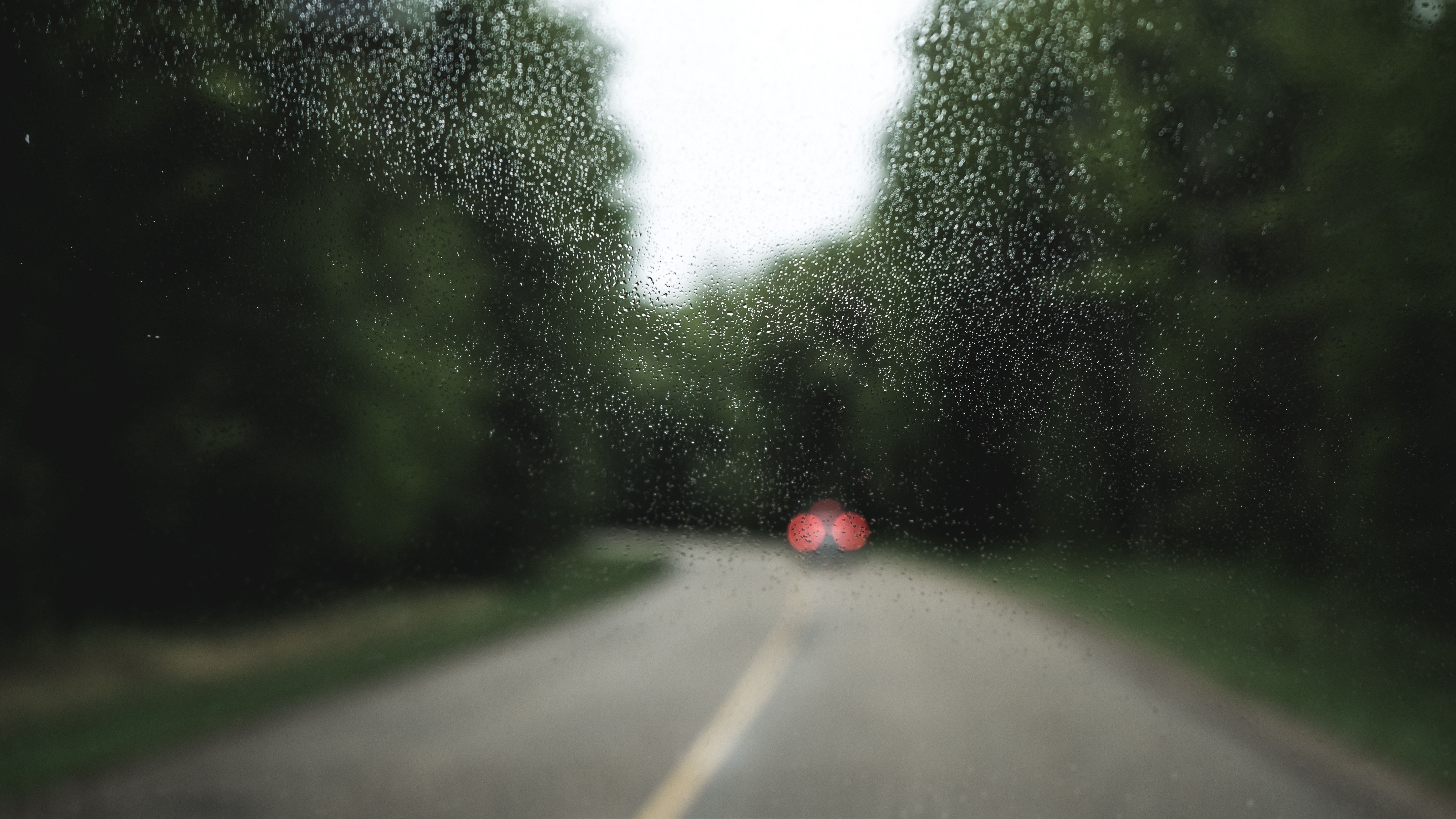 Driving on a wet road through a forest HD Wallpaper