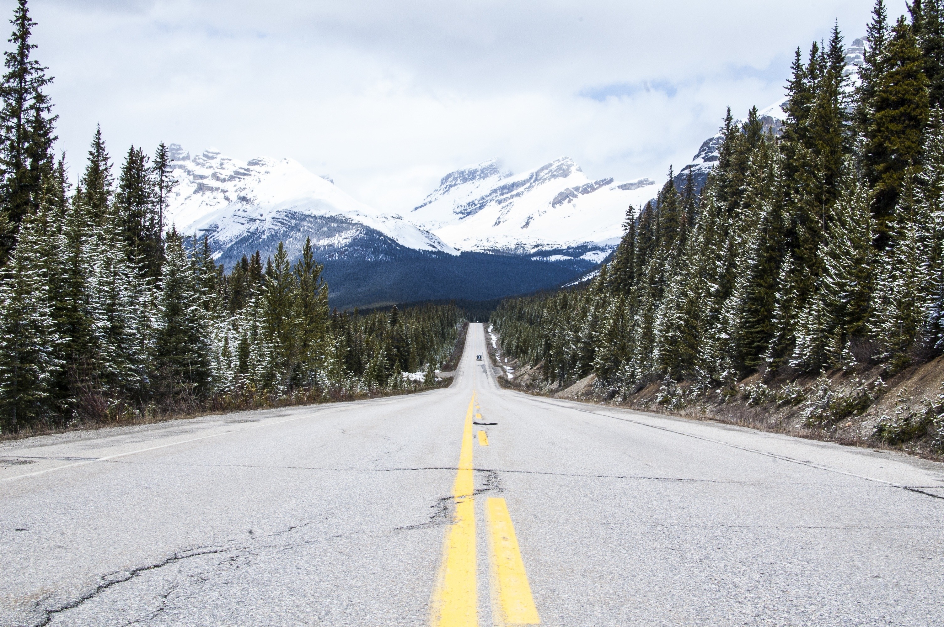 Road through a snowy forest towards snow-capped mountains HD Wallpaper