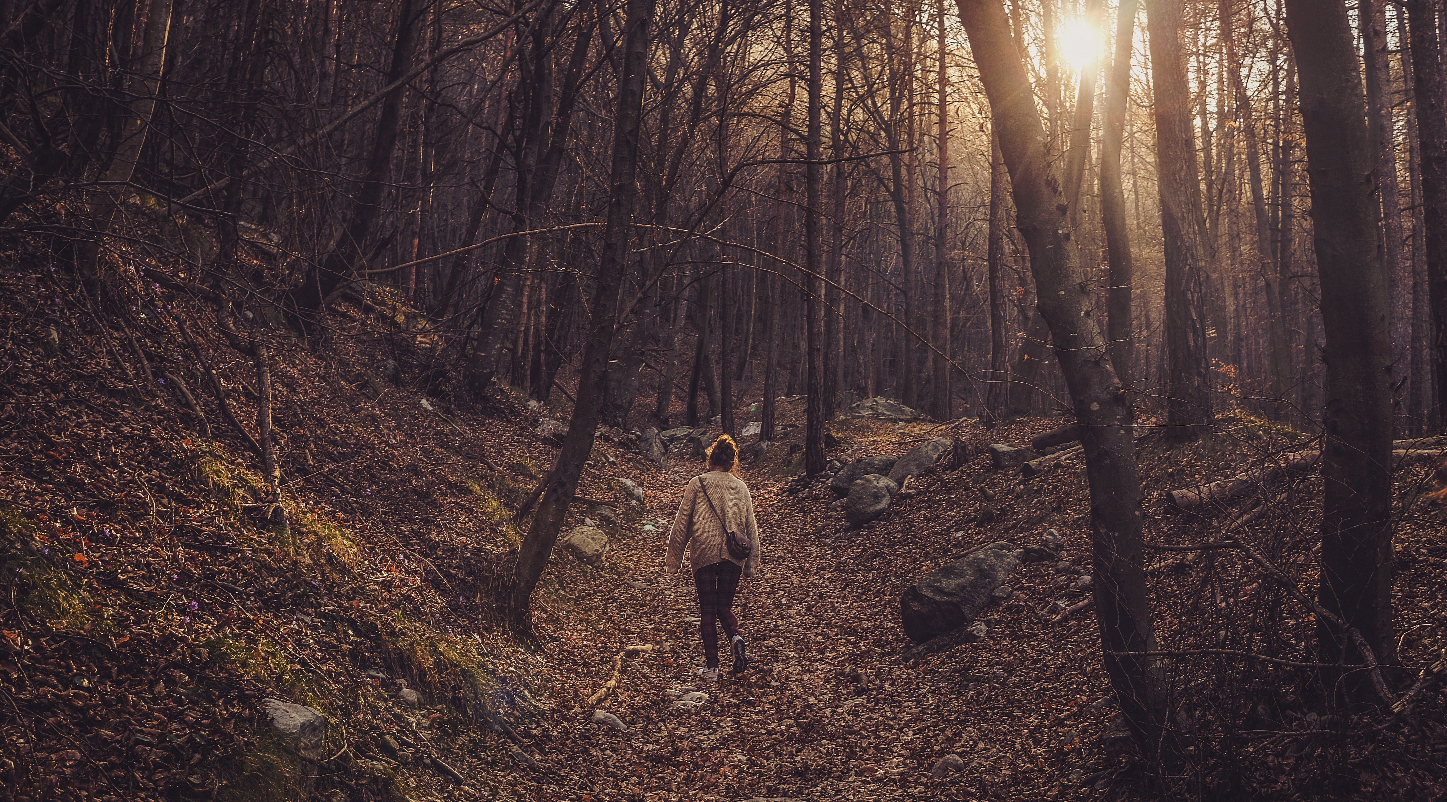 Woman walking through a sunlit autumn forest HD Wallpaper