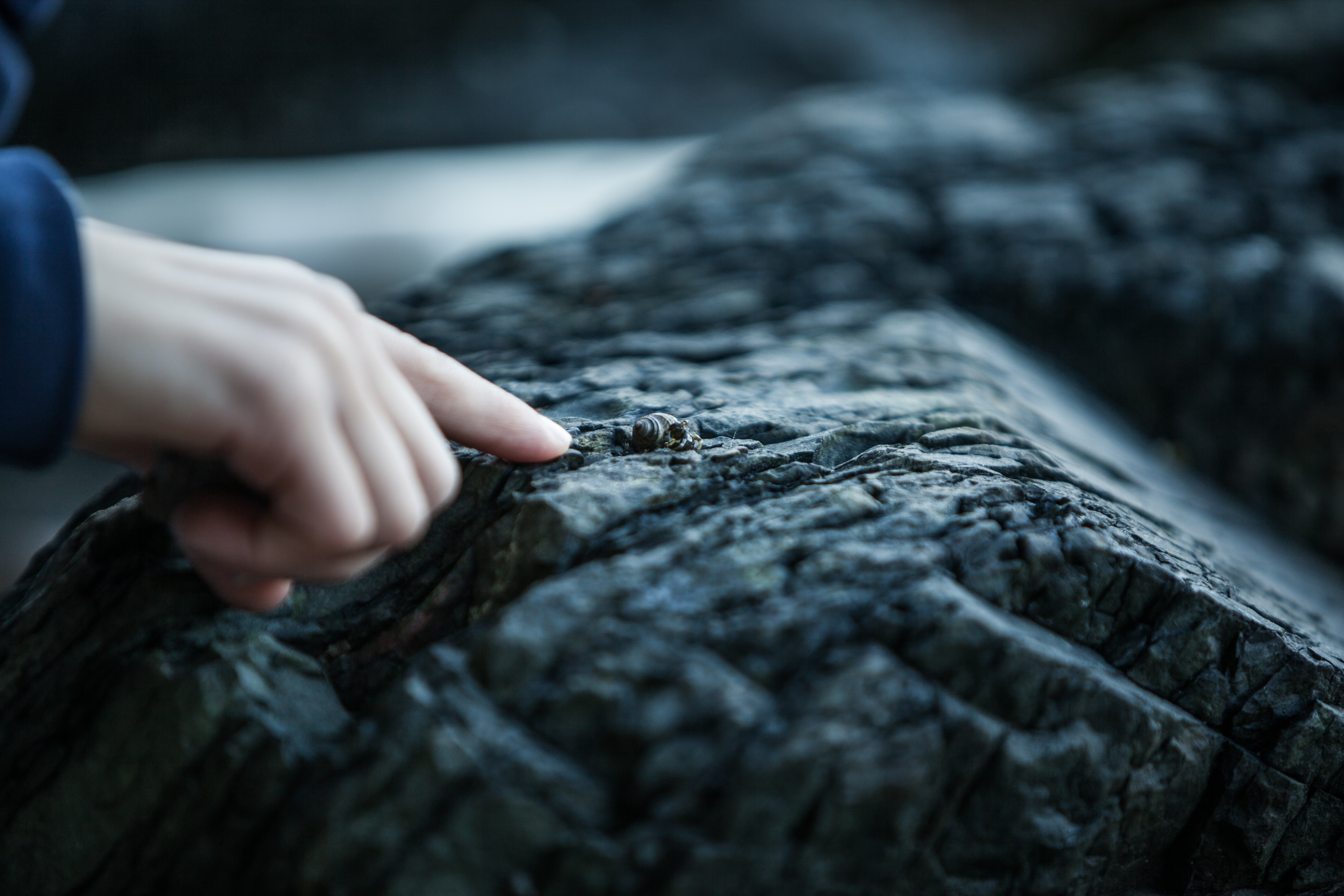 A child's hand points to a small snail on a rock HD Wallpaper