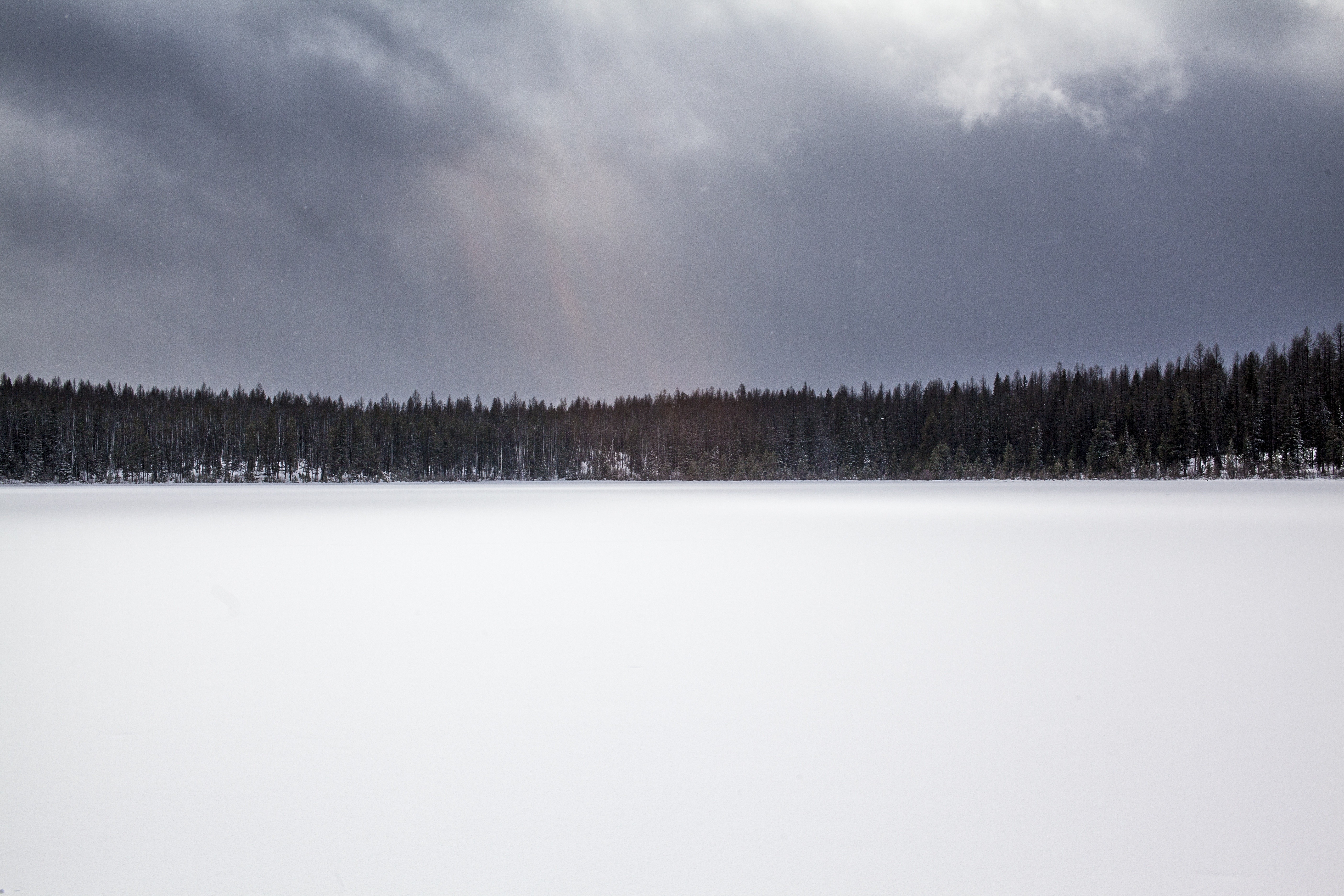 Snowy landscape with dark clouds and evergreen forest HD Wallpaper
