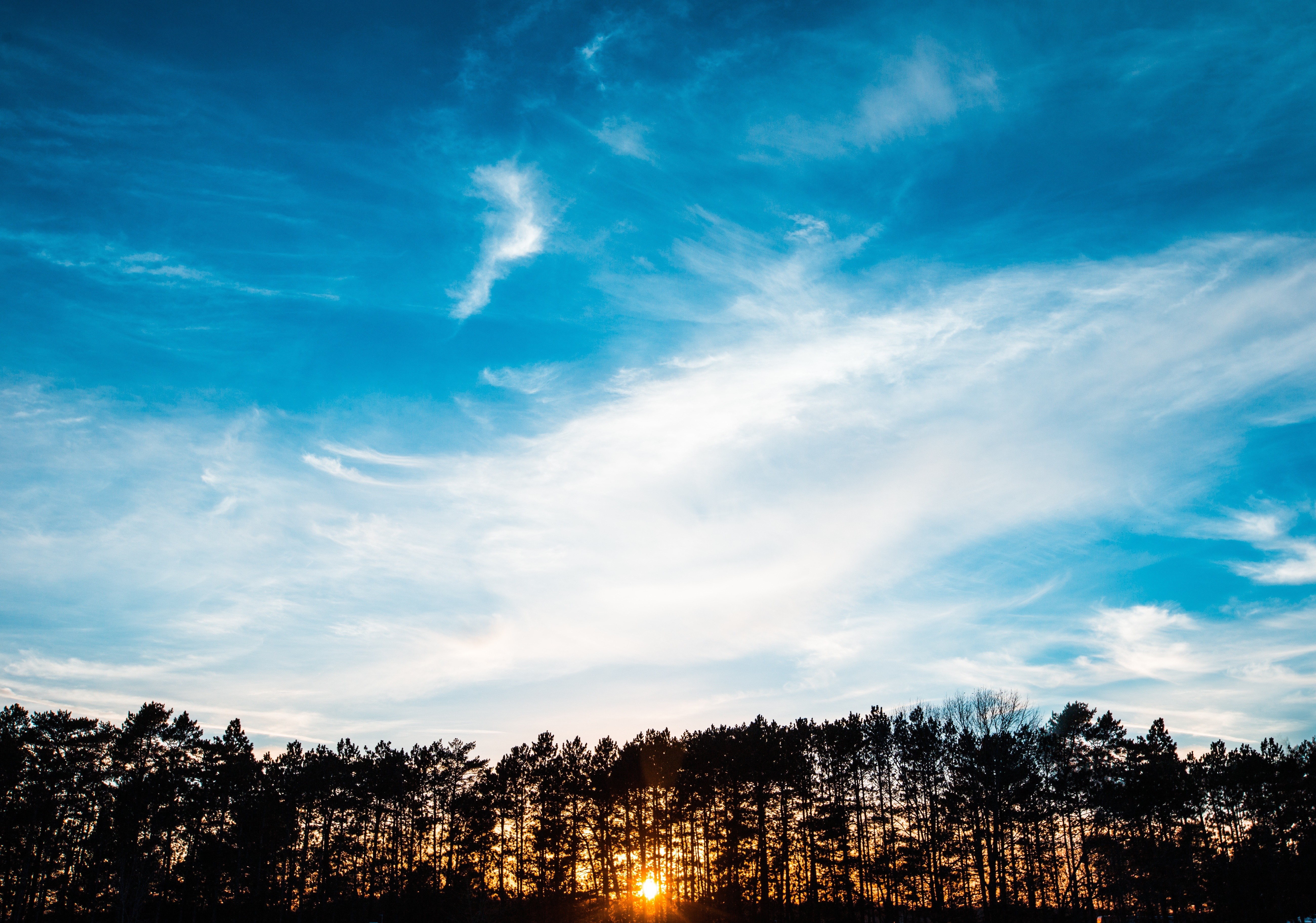 Sunset over a silhouetted forest with a bright sun HD Wallpaper