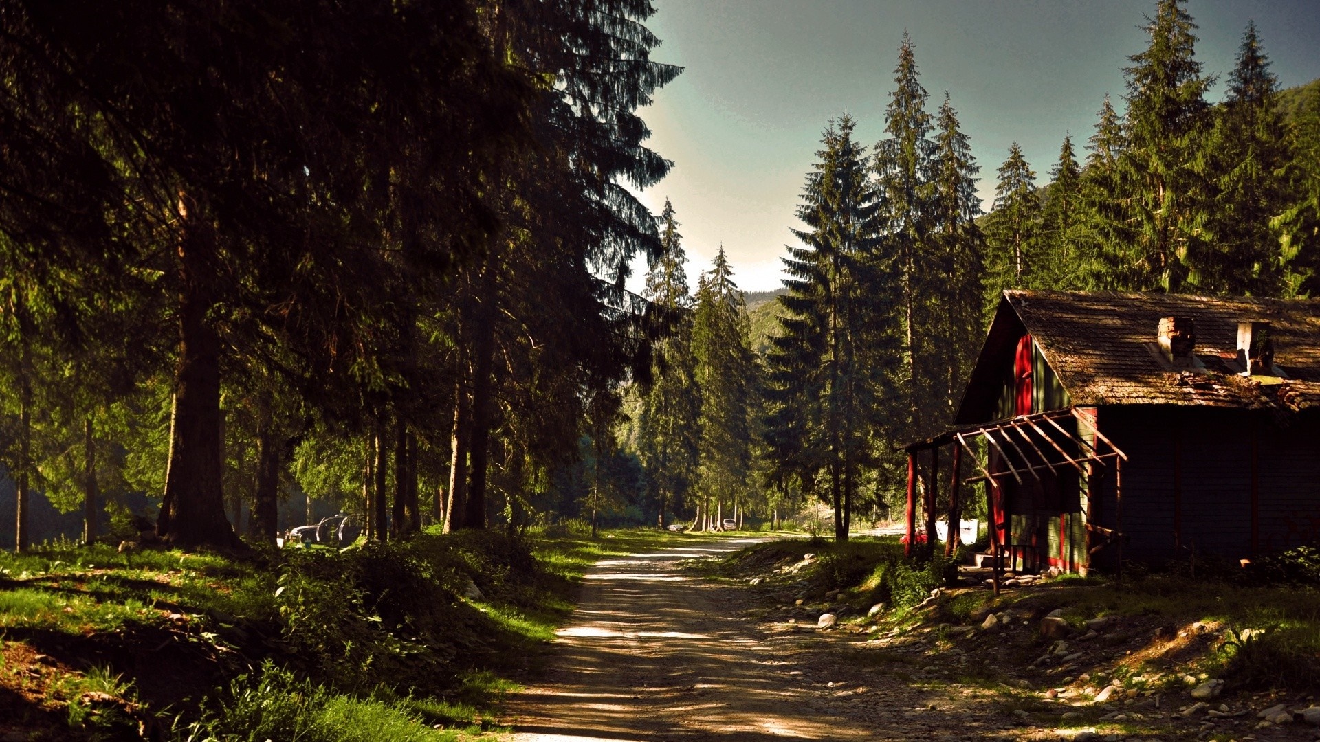 Dirt path through a forest with a cabin HD Wallpaper