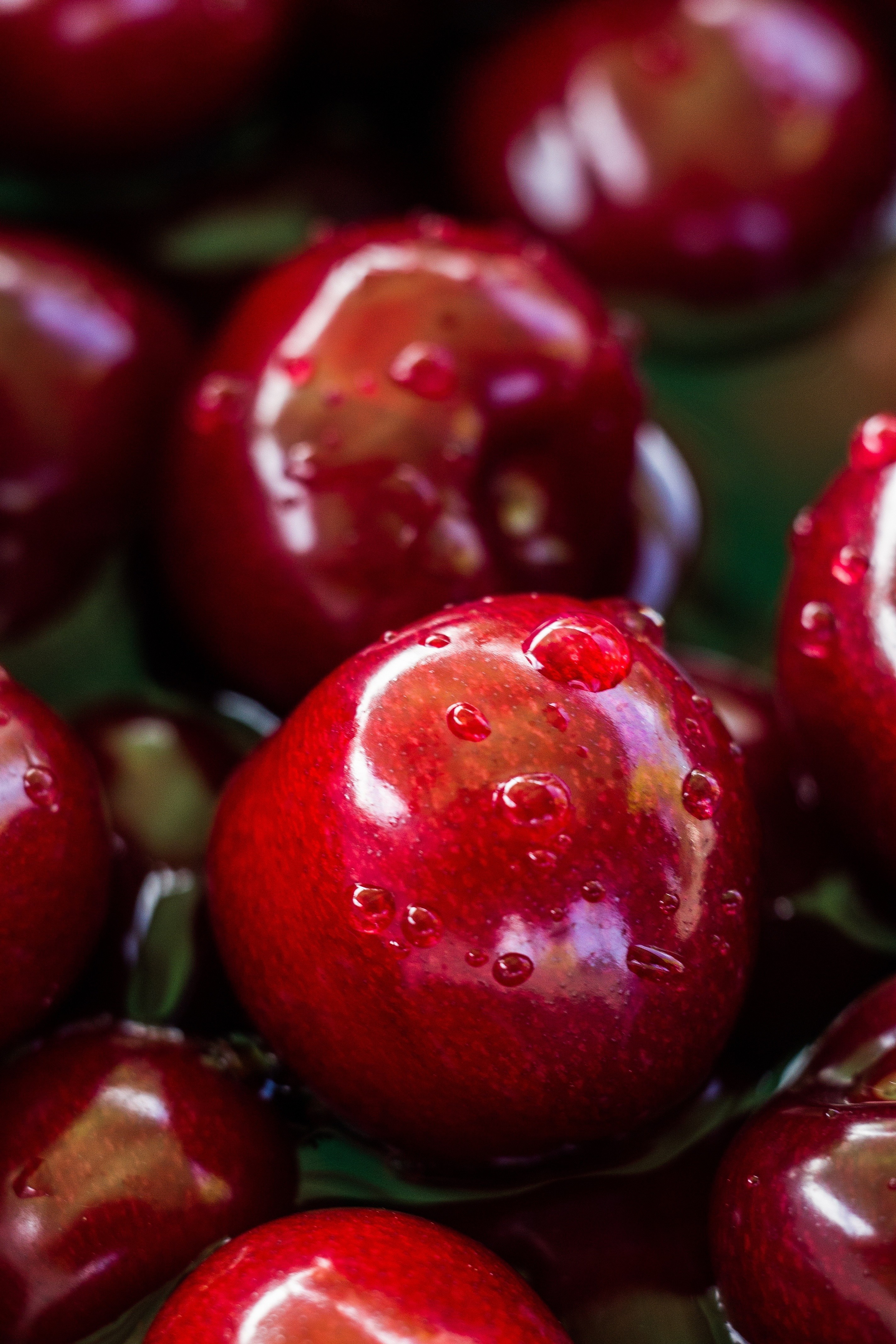 Close-up of fresh red cherries with water droplets HD Wallpaper