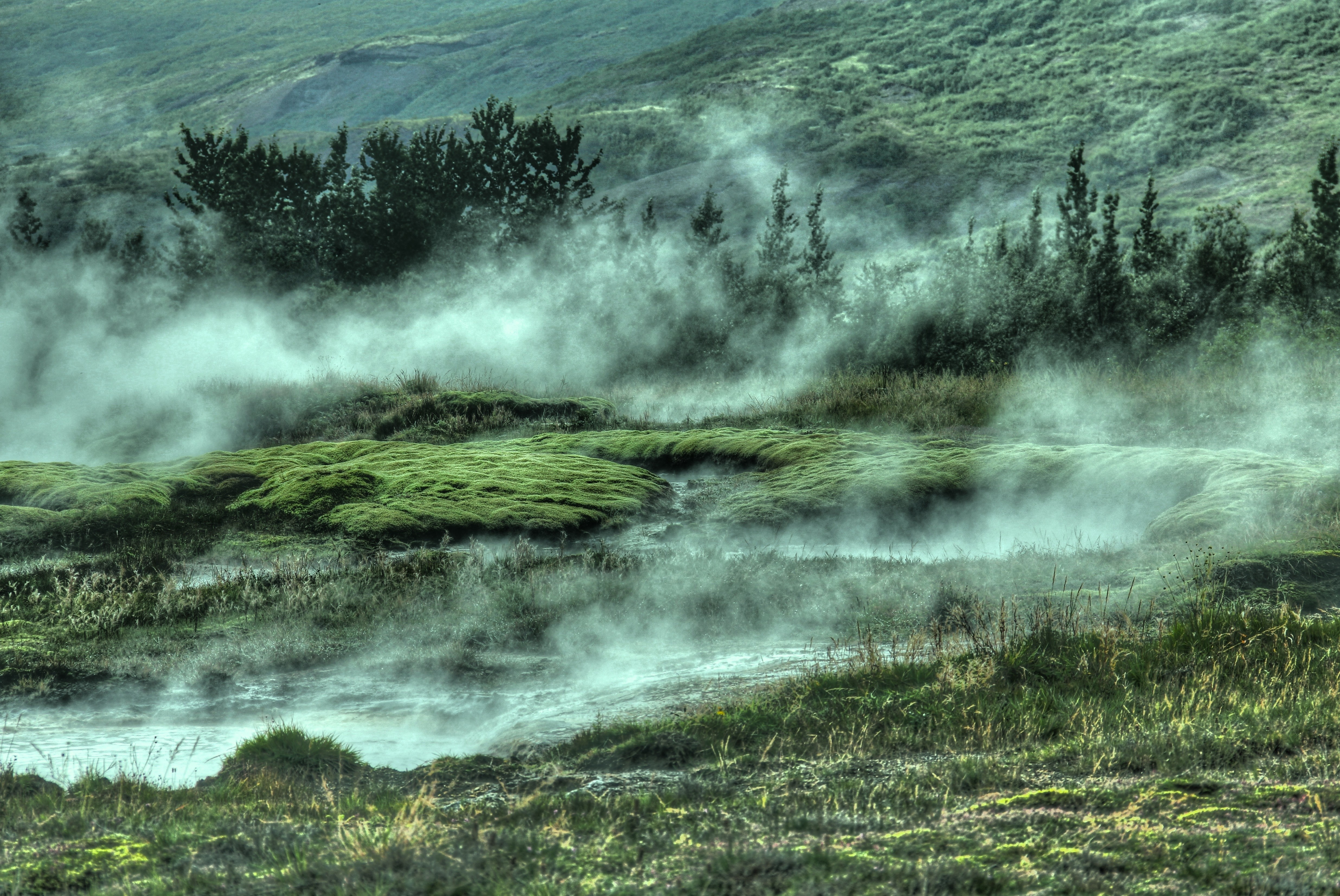 Misty geothermal landscape with mossy mounds and trees HD Wallpaper