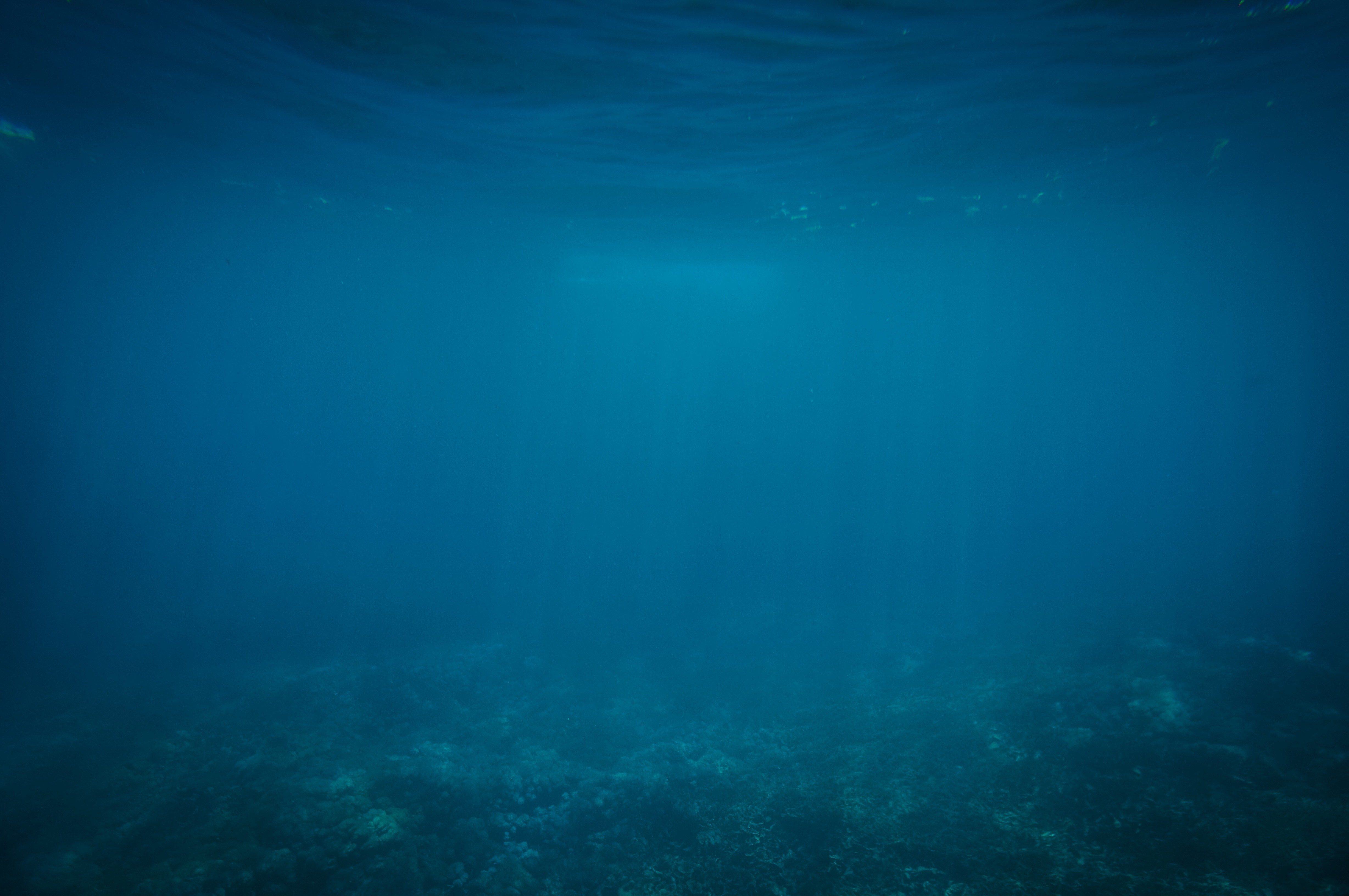 Underwater view of the ocean floor with sunlight filtering through the water HD Wallpaper