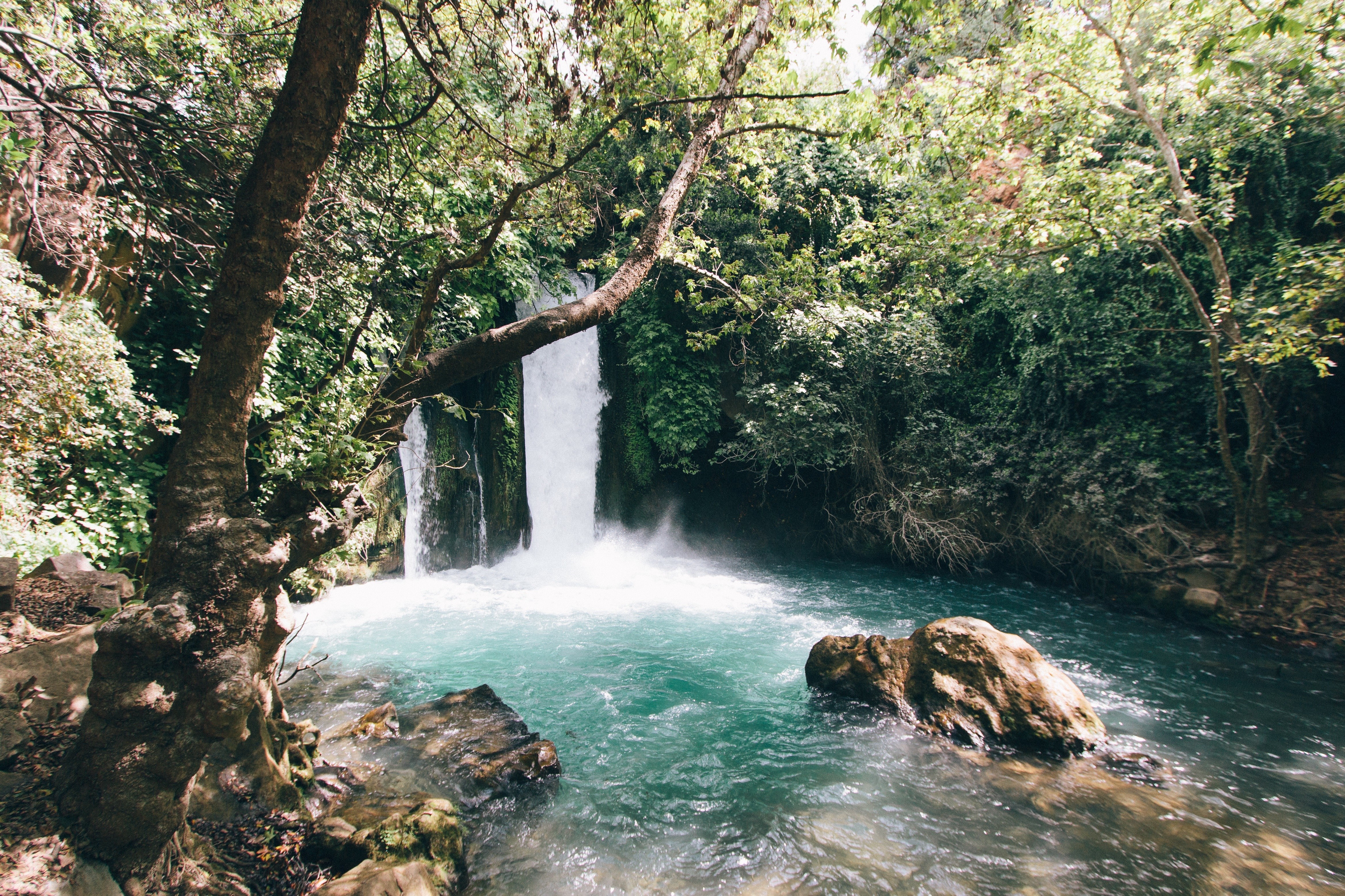 Waterfall in a lush green forest with turquoise water HD Wallpaper