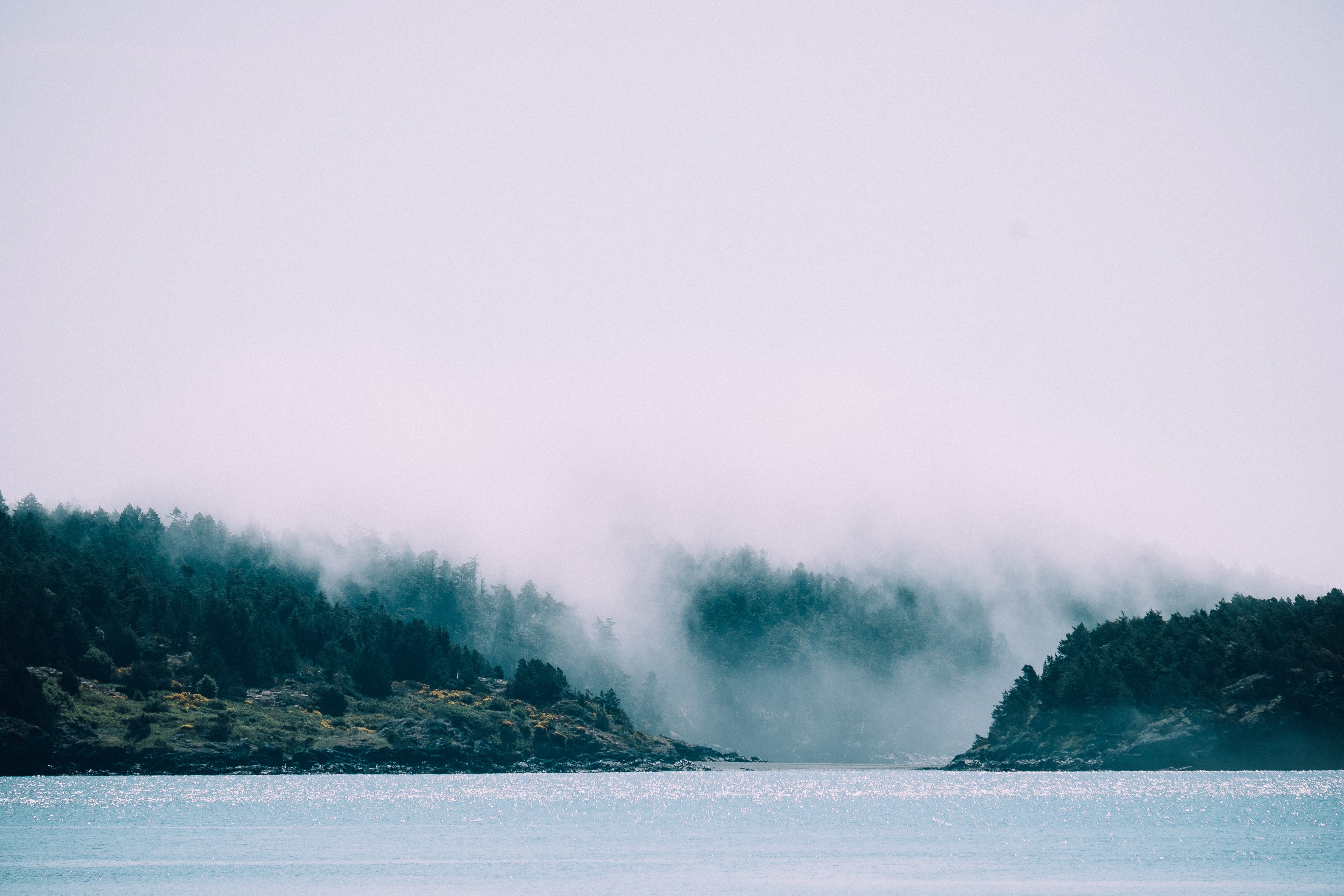 Misty forest on a rocky shore by the sea HD Wallpaper