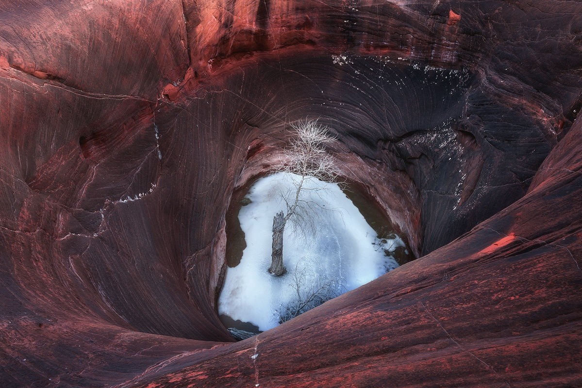 Tree in frozen pool within a sandstone cave HD Wallpaper