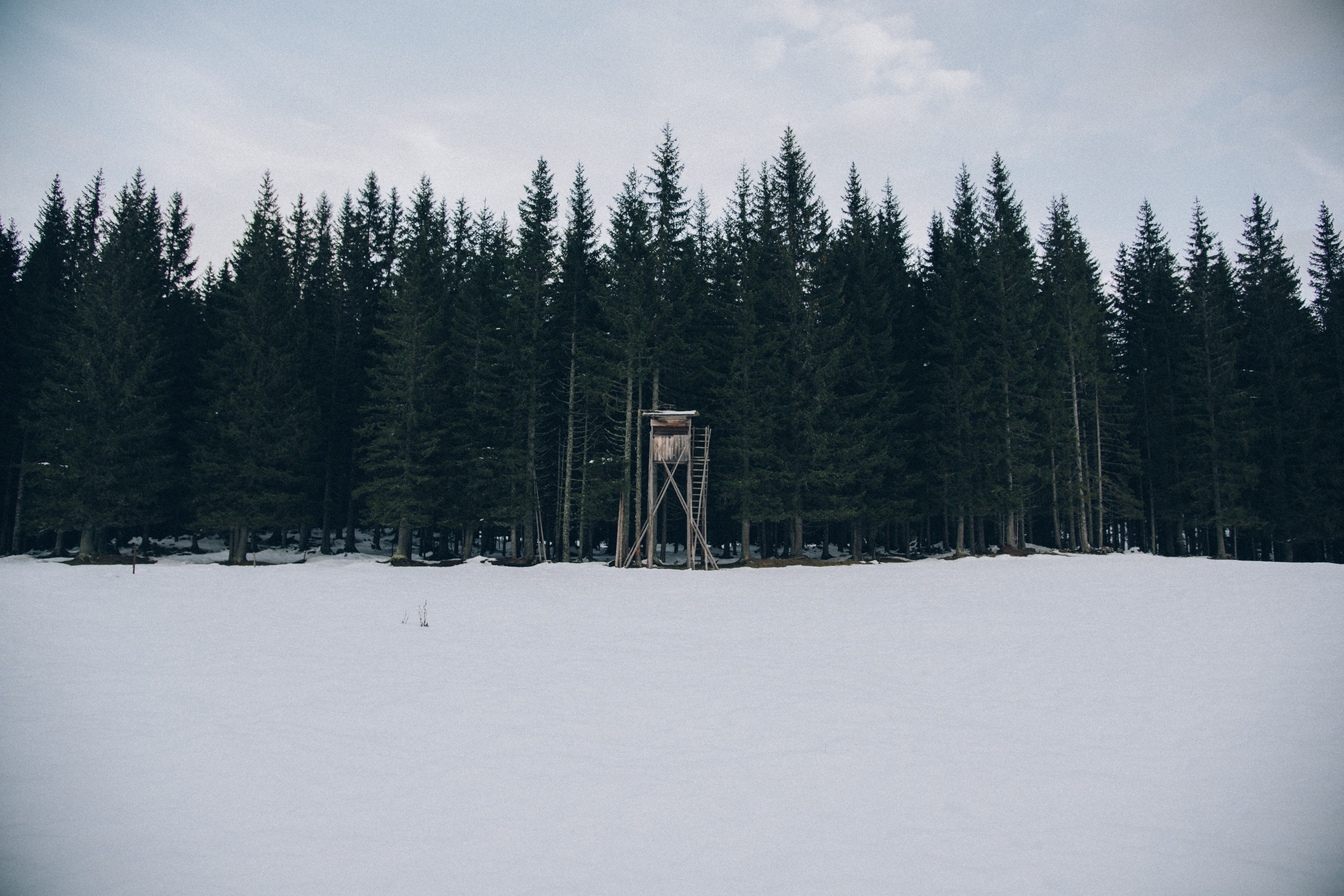 Hunting blind in a snowy forest HD Wallpaper