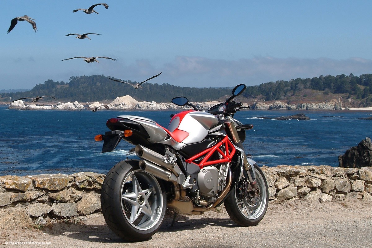 MV Agusta motorcycle parked by the ocean with birds flying HD Wallpaper
