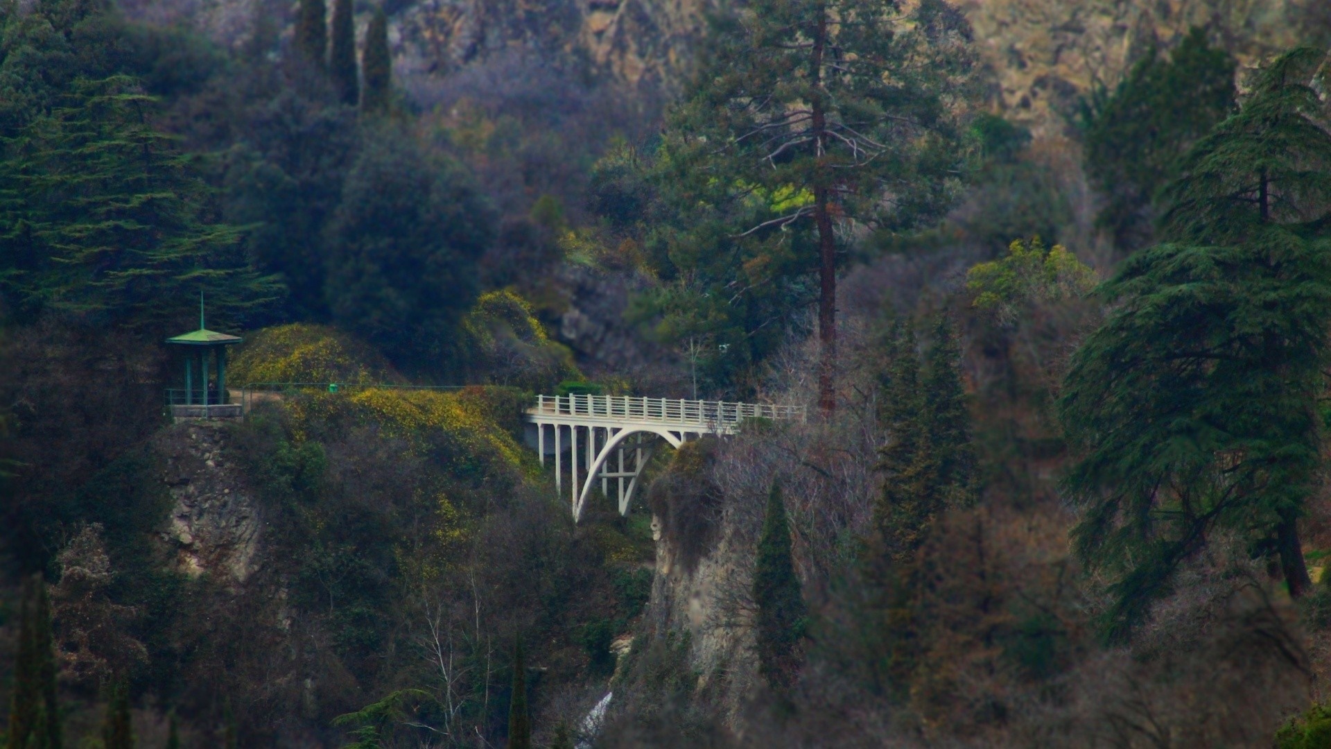 Bridge and gazebo on a forested hillside HD Wallpaper