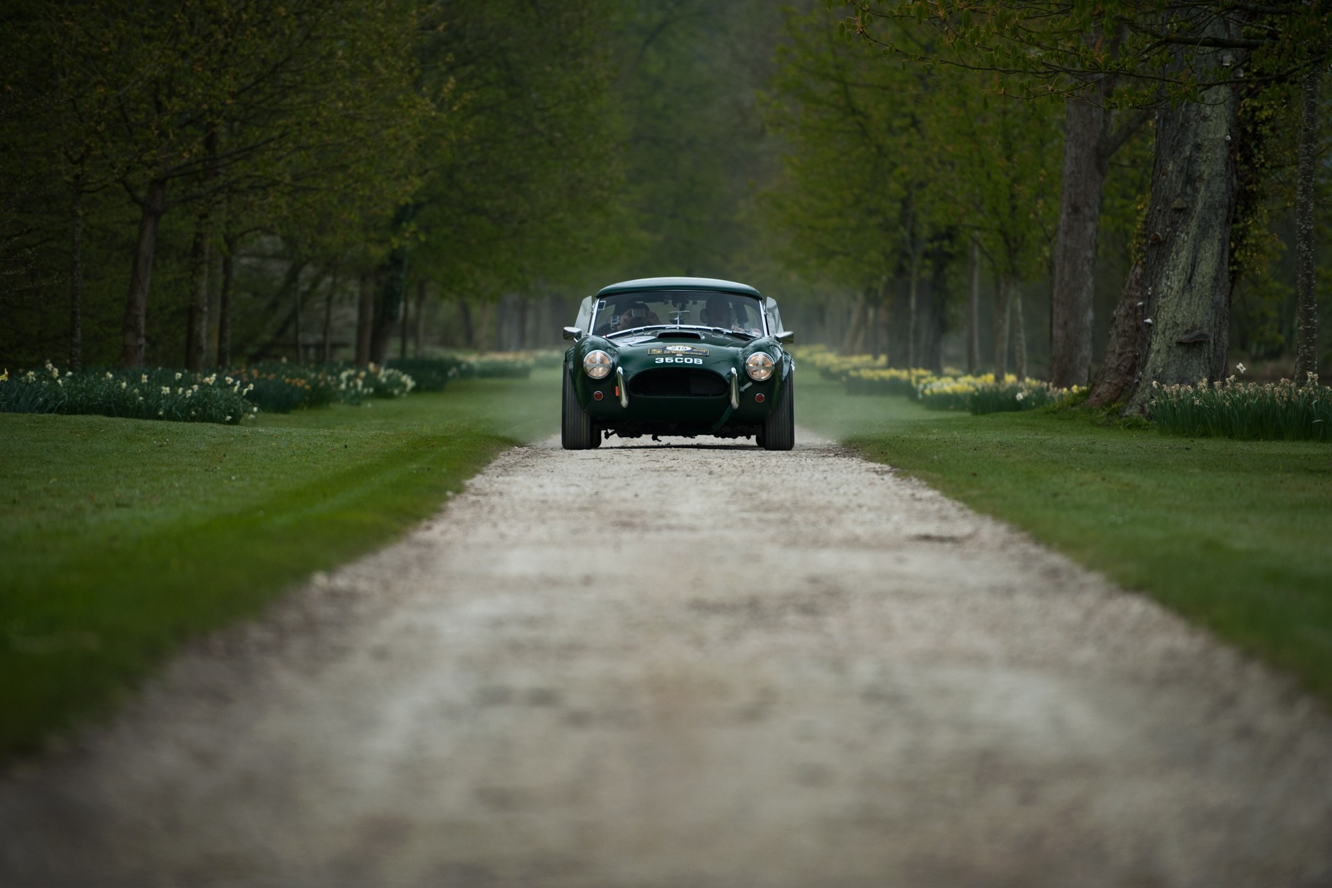 Green vintage car driving on a dirt road lined with trees HD Wallpaper