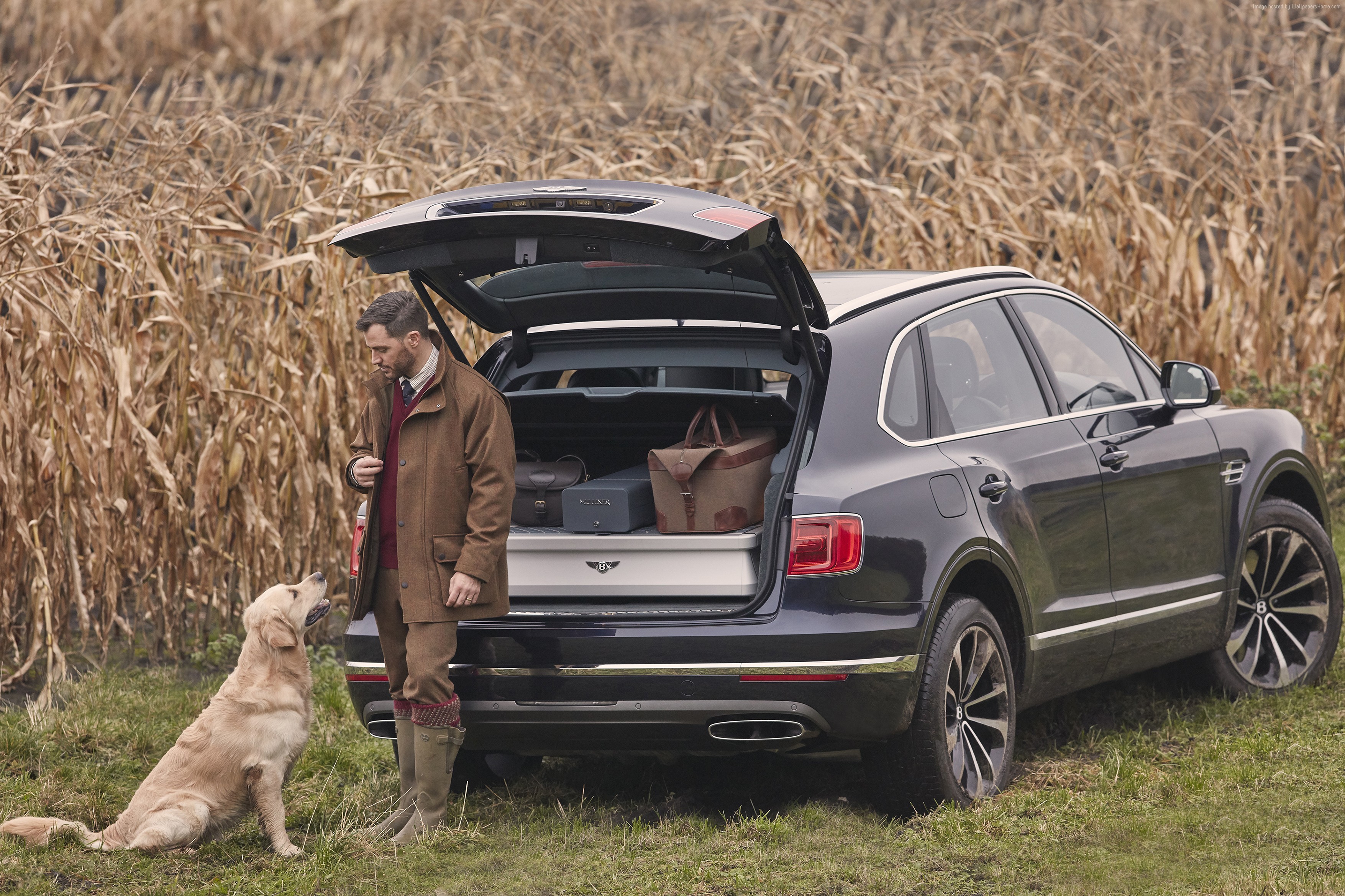 Man and dog with Bentley Bentayga in field HD Wallpaper
