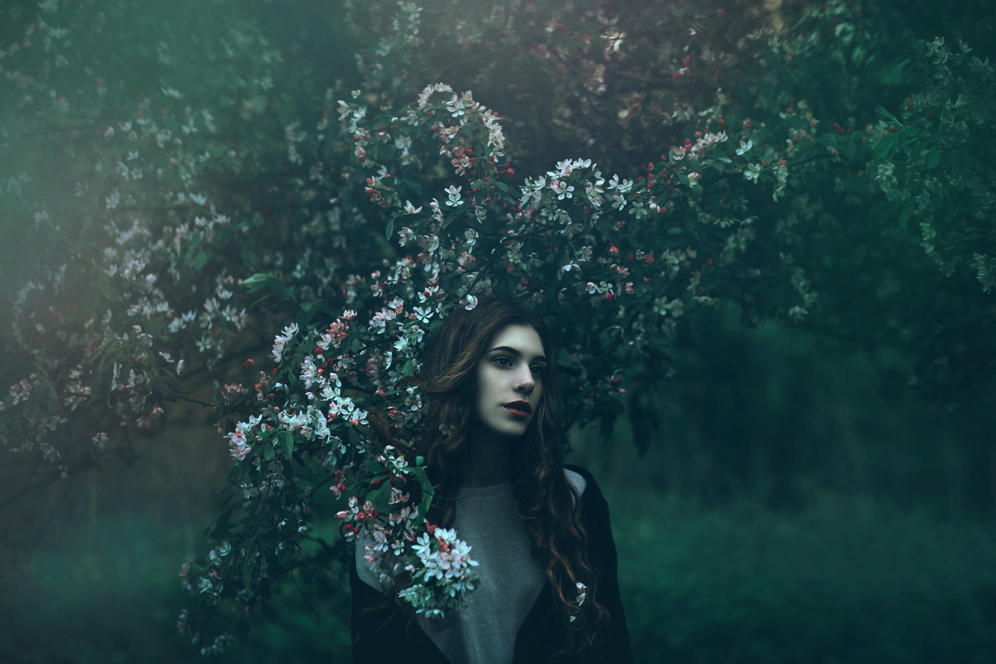 Woman in a flowering tree HD Wallpaper