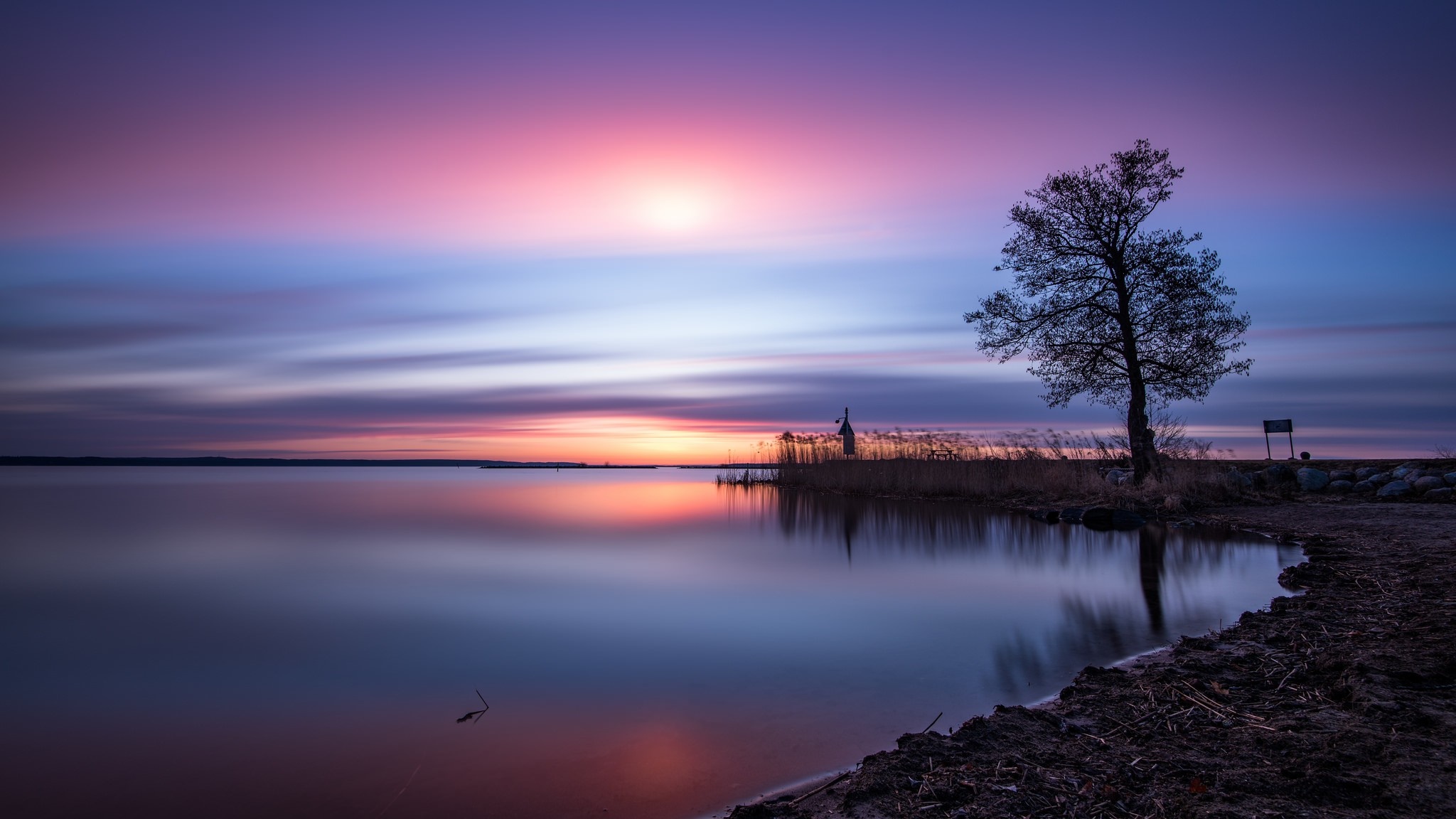 Tree reflecting in water during sunset with colorful sky HD Wallpaper