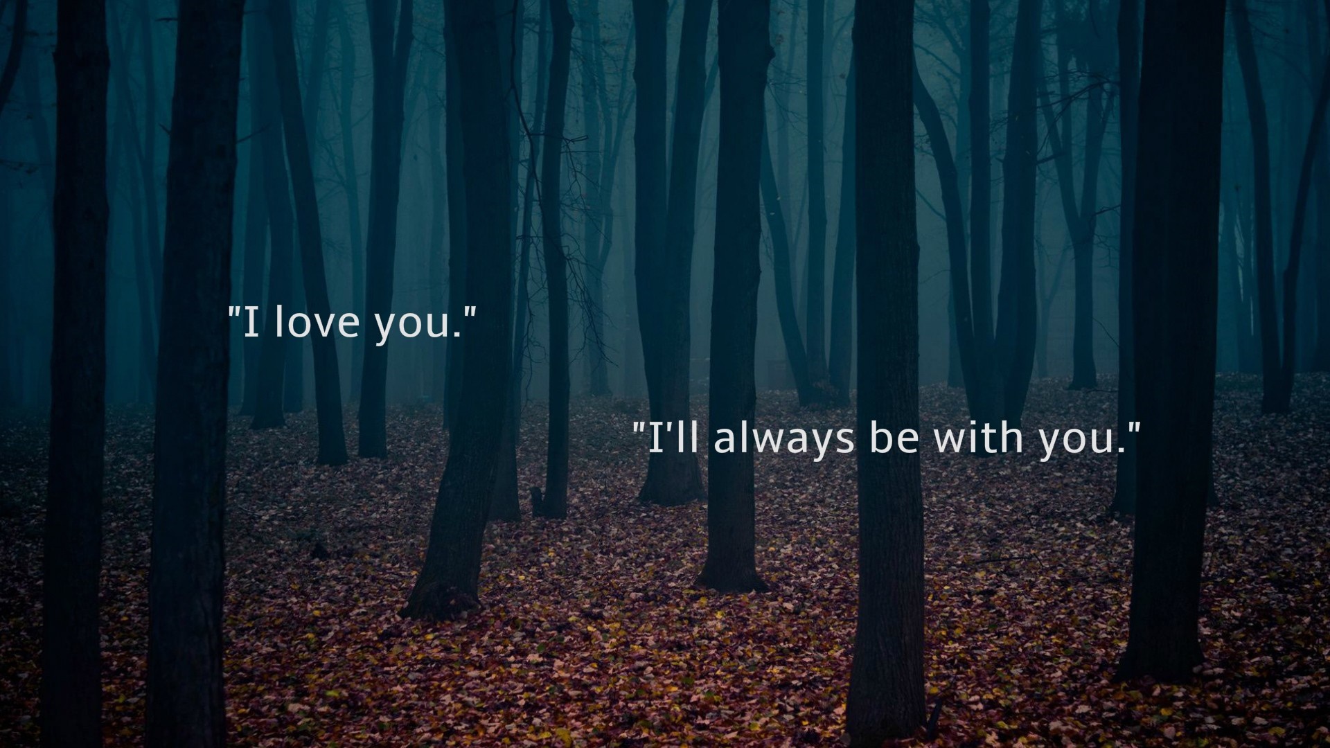 Two quotes in a dark forest HD Wallpaper