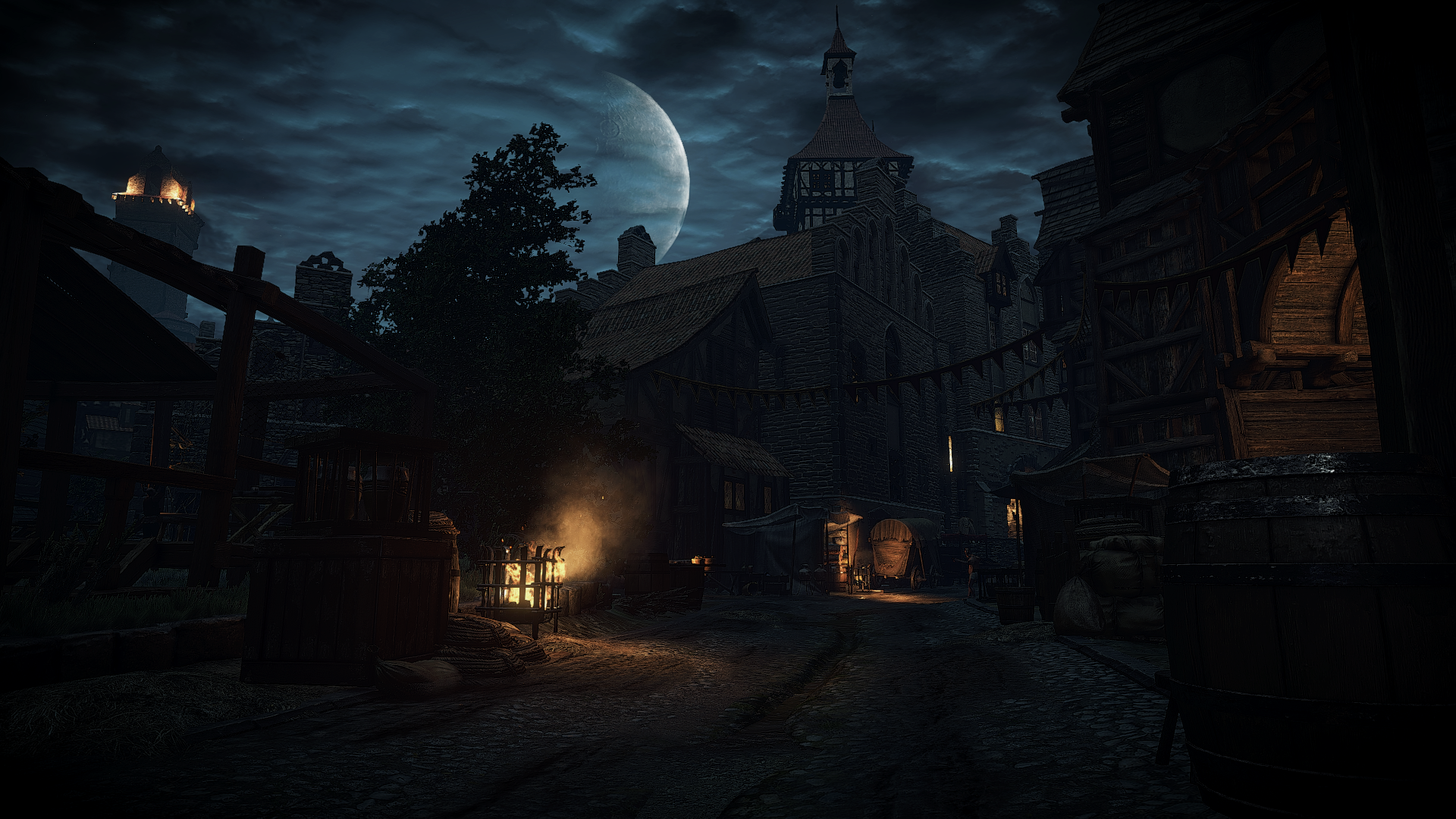 The Witcher 3: Wild Hunt night scene HD Wallpaper
