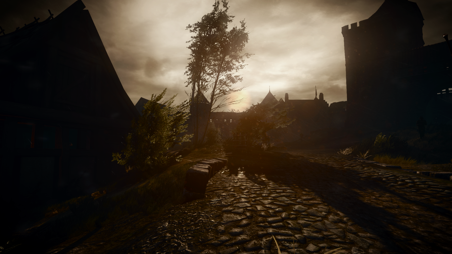 The Witcher 3: Wild Hunt screenshot at dusk HD Wallpaper