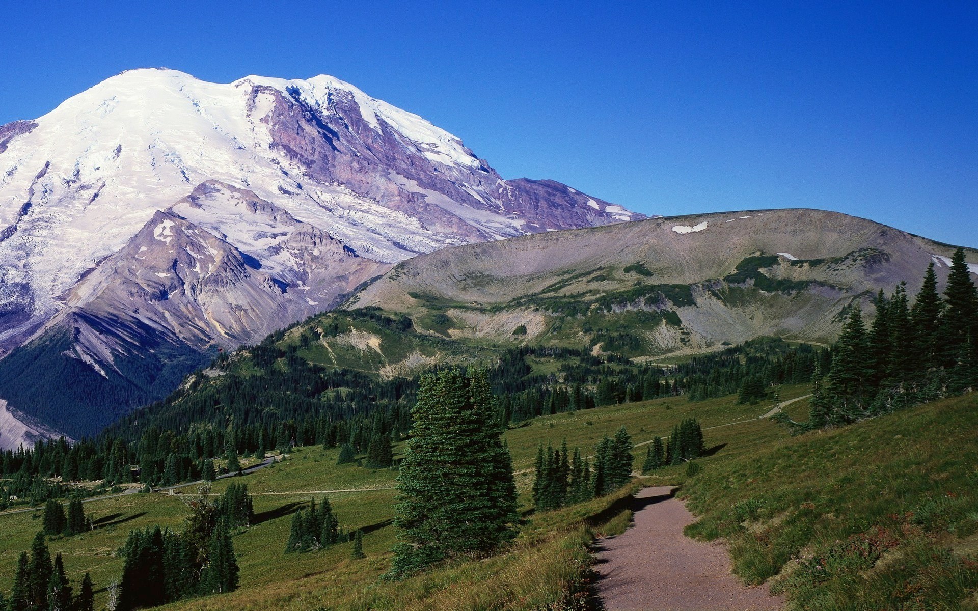 Mount Rainier National Park with a hiking trail HD Wallpaper