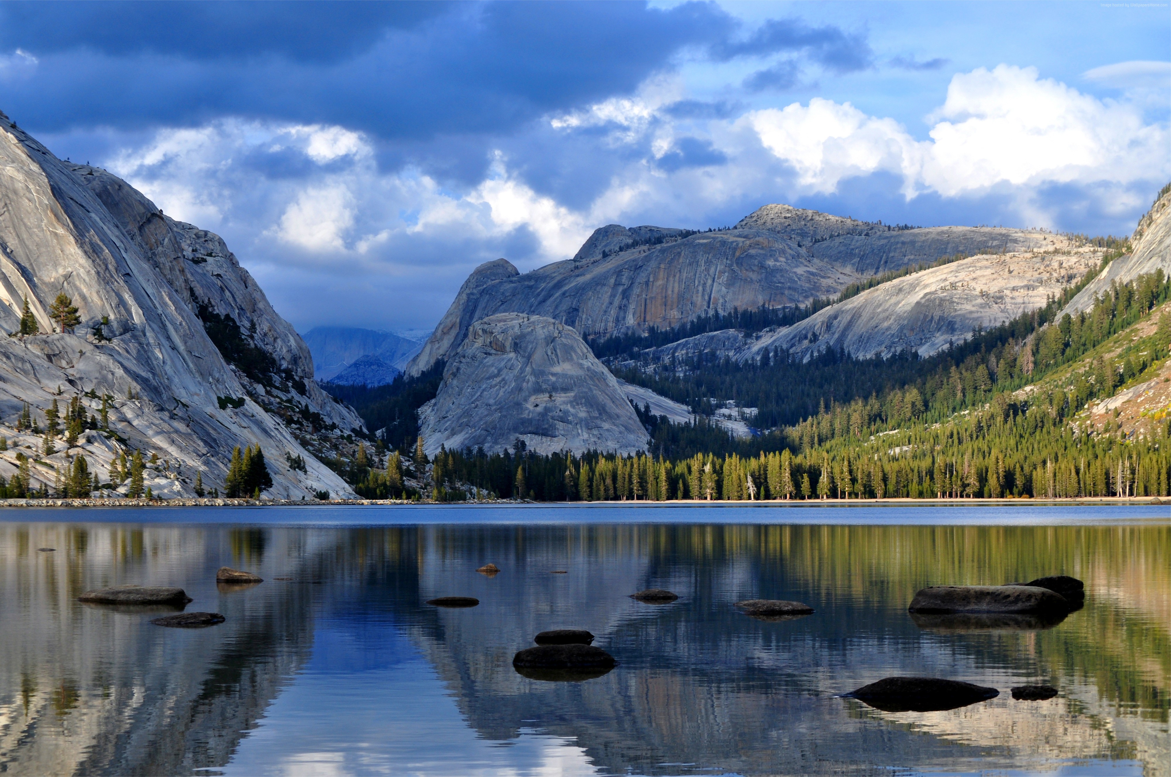 Half Dome, forest, lake, National Park, 4K, California, Yosemite, mountain HD Wallpaper