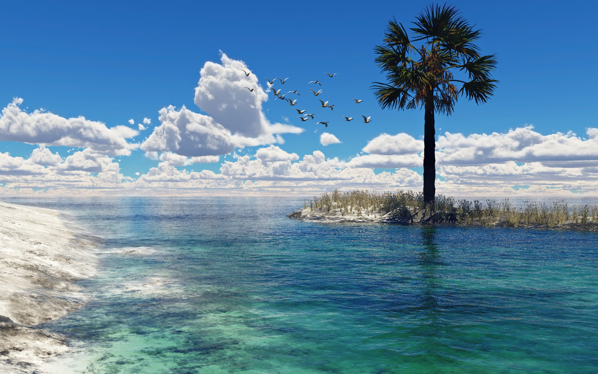 Tropical island with palm tree and birds HD Wallpaper