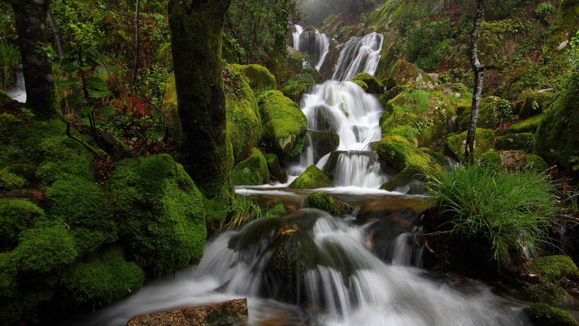 Mossy rocks and a cascading waterfall in a forest HD Wallpaper
