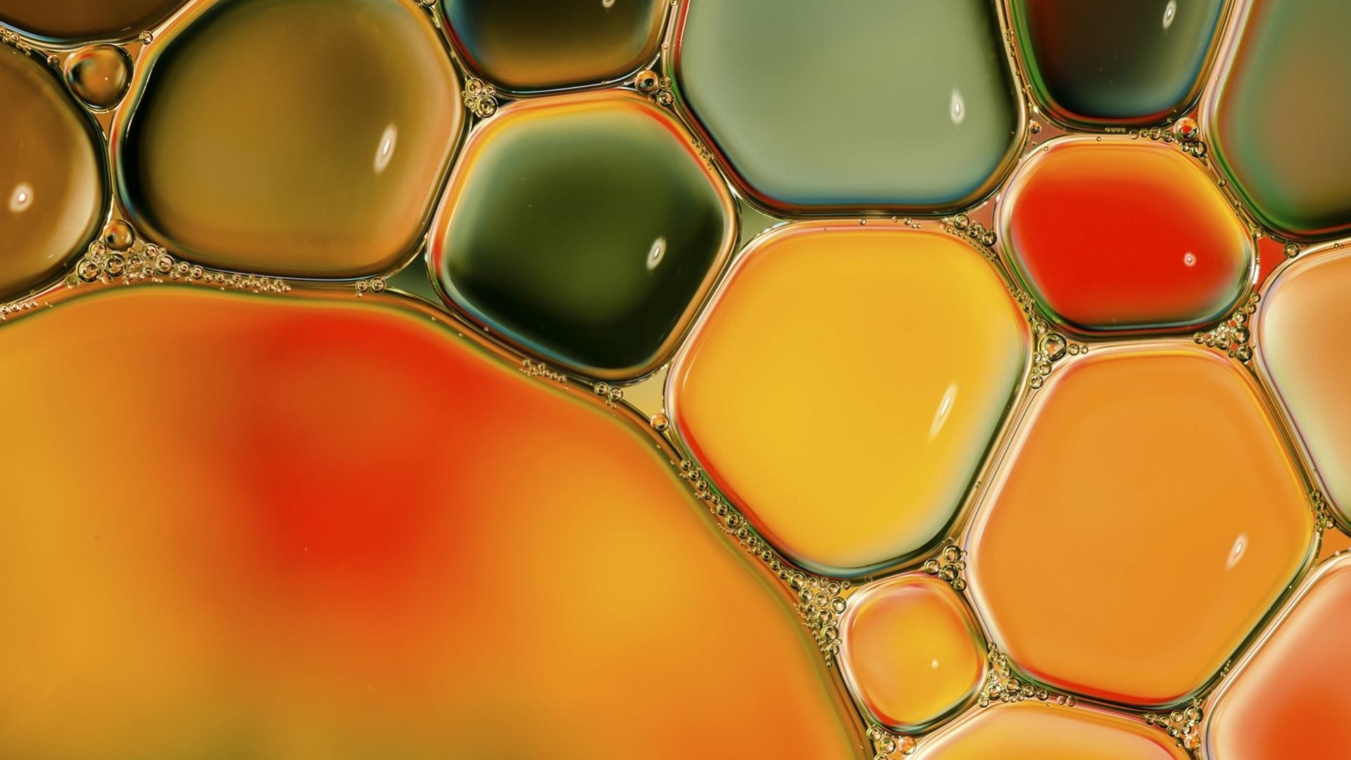 Colorful oil and water bubbles macro photography HD Wallpaper