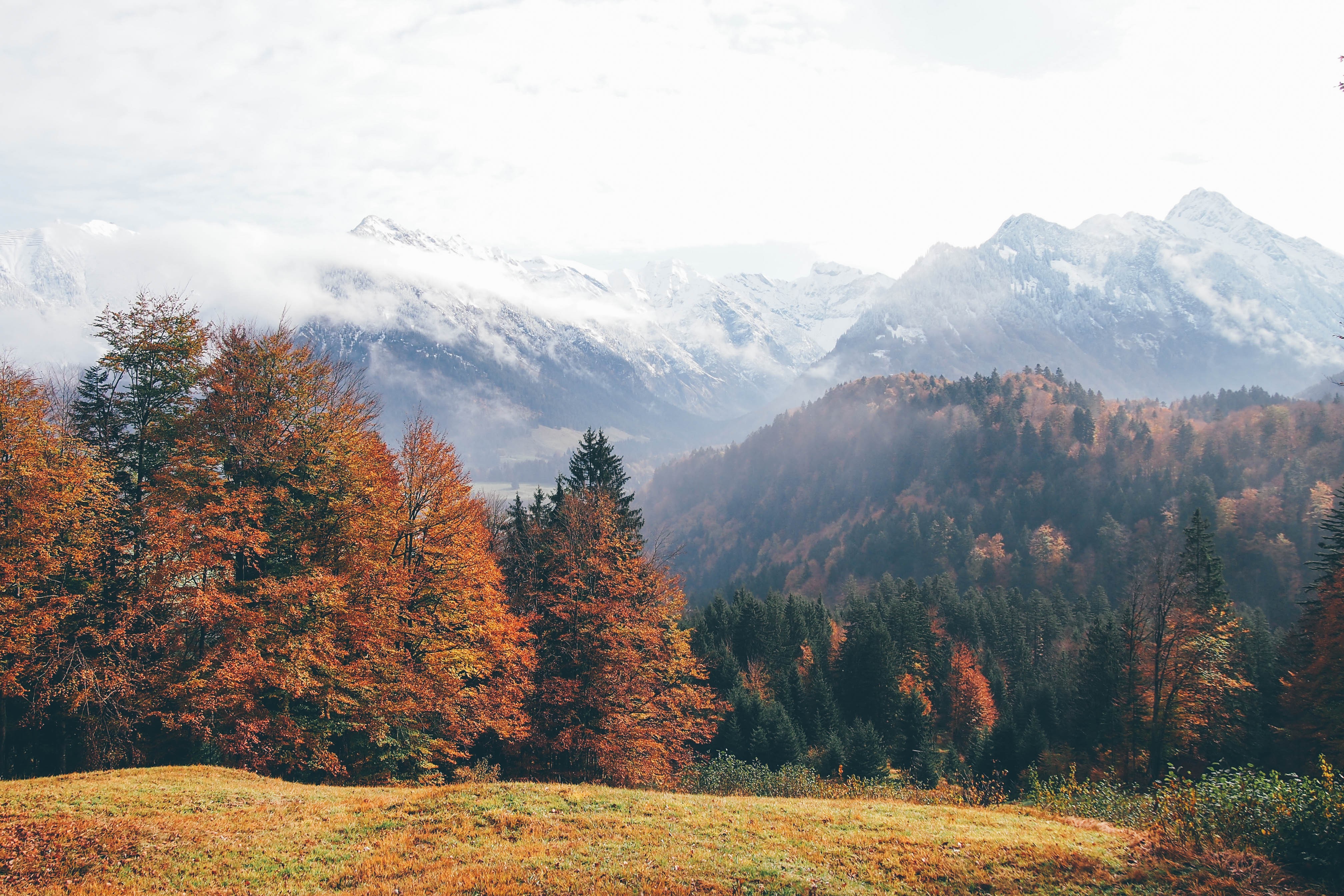 Germany, Oberstdorf, forest, 4K, autumn, mountains HD Wallpaper
