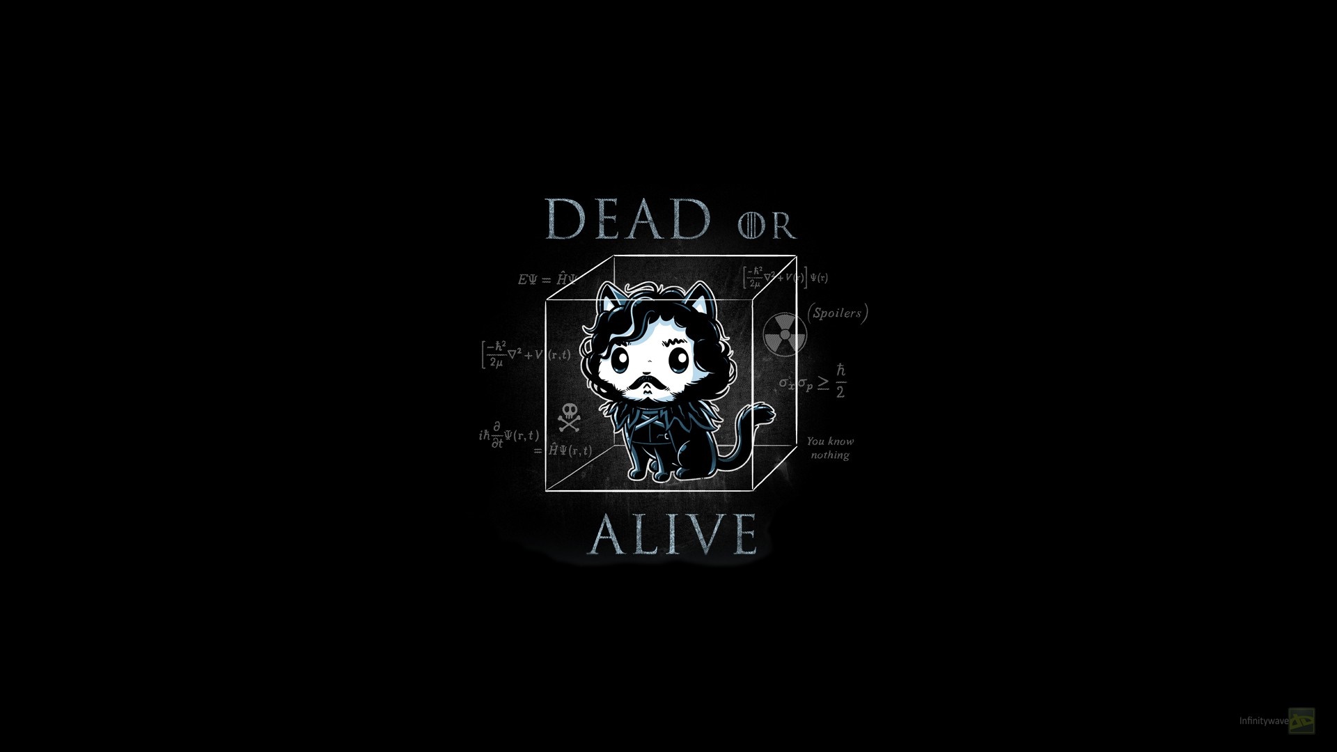 Jon Snow Cat from Game of Thrones HD Wallpaper