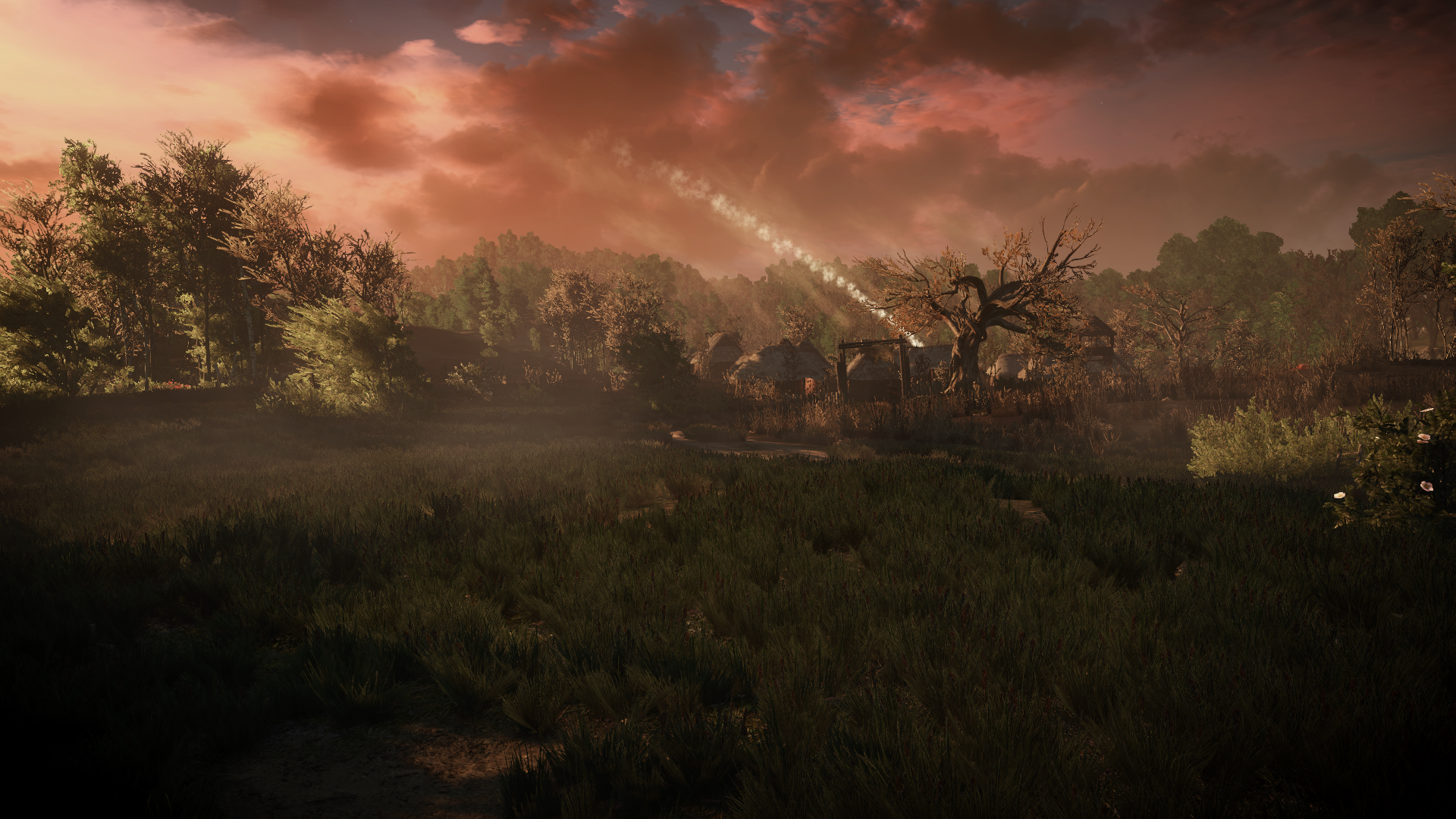 The Witcher 3: Wild Hunt - Misty forest at sunset HD Wallpaper
