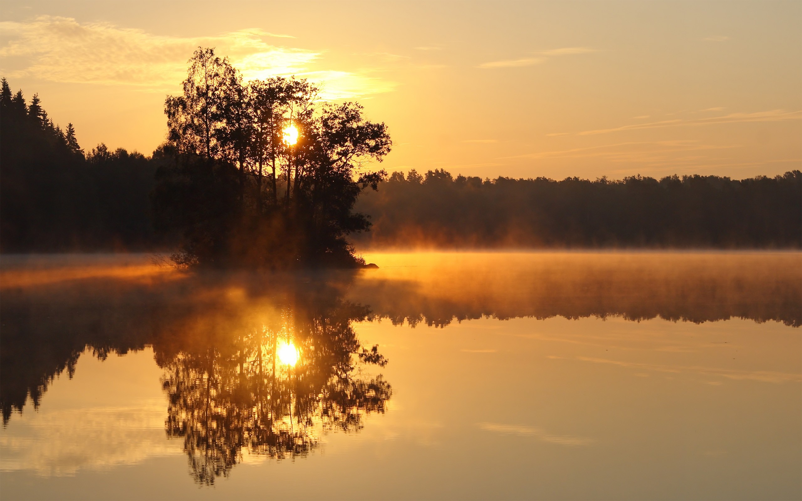 Sunrise over a misty lake with trees and reflection HD Wallpaper