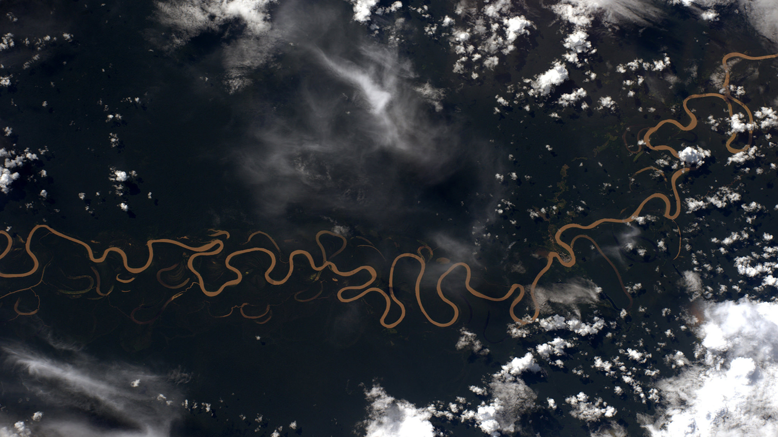 Aerial view of a winding river through a dark forest with clouds HD Wallpaper