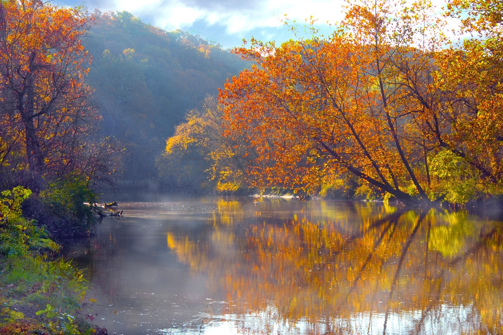Autumn river reflecting colorful trees in morning mist HD Wallpaper