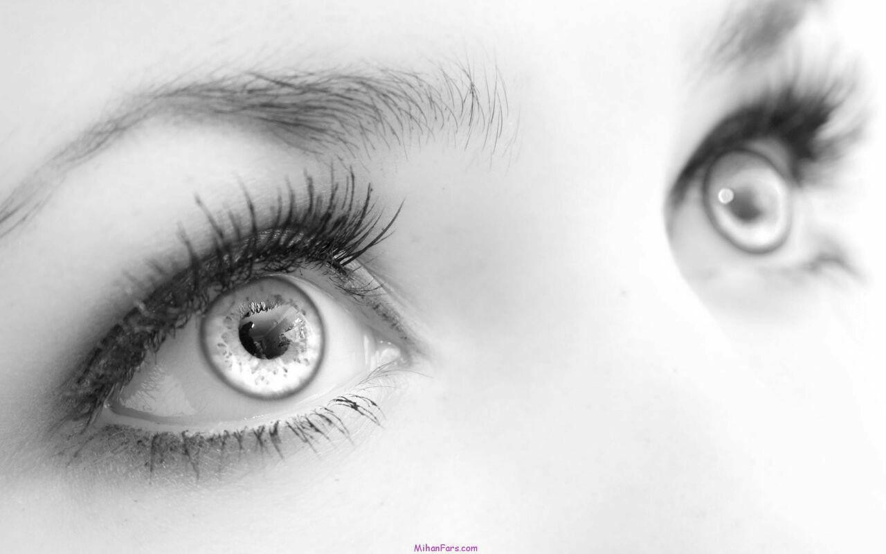 Close-up of a woman's eyes and eyebrow HD Wallpaper
