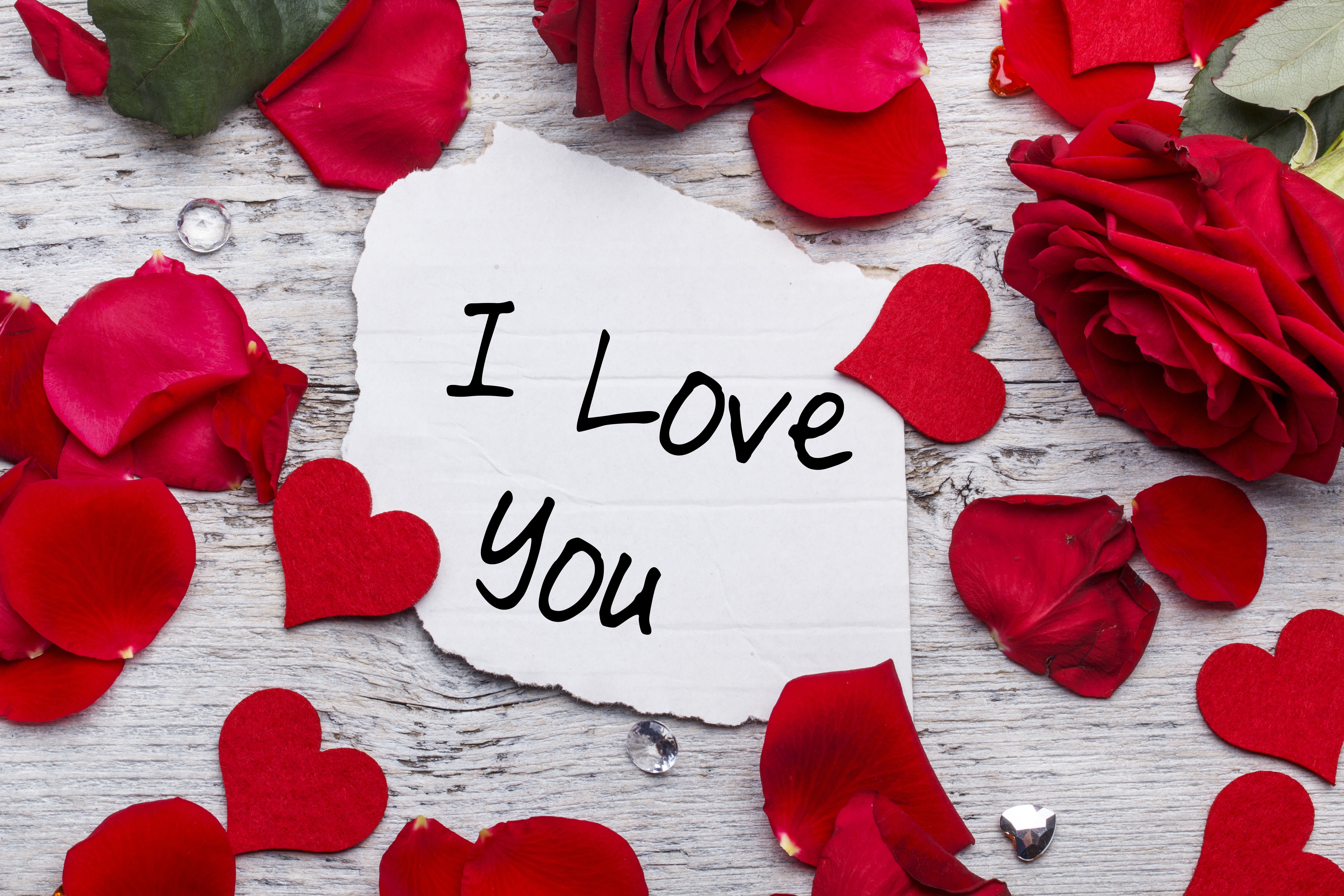 I Love You message with red roses and hearts HD Wallpaper
