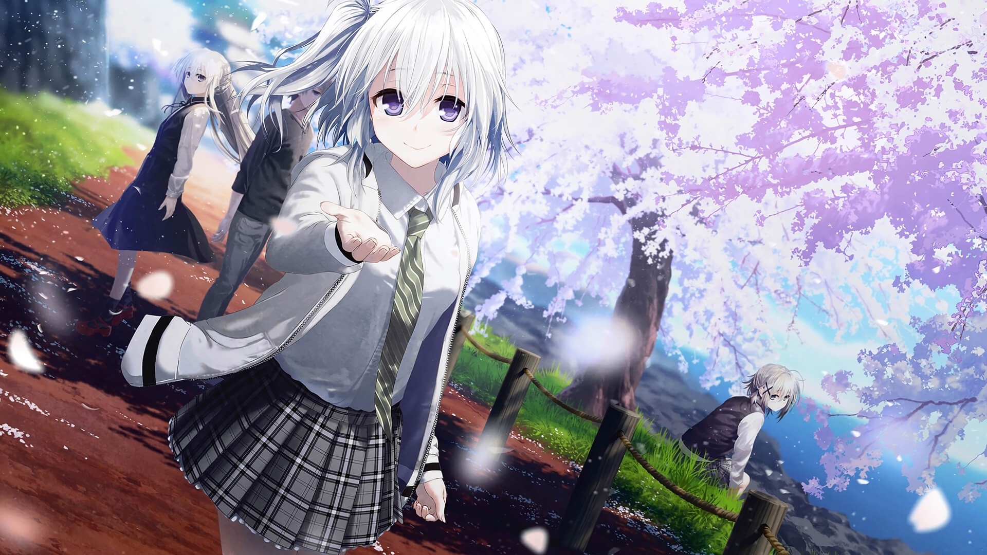 Anime girls with white hair under cherry blossoms HD Wallpaper