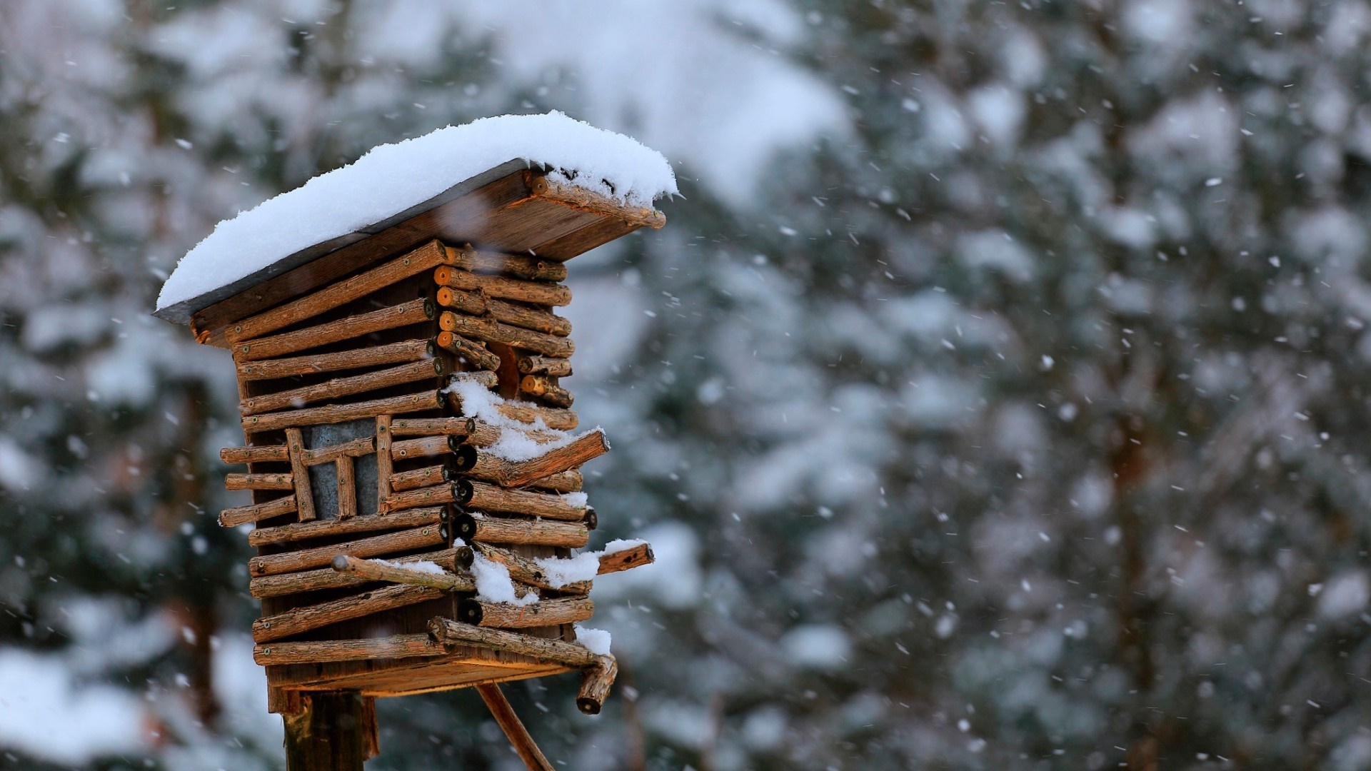 Wooden birdhouse covered in snow during winter HD Wallpaper