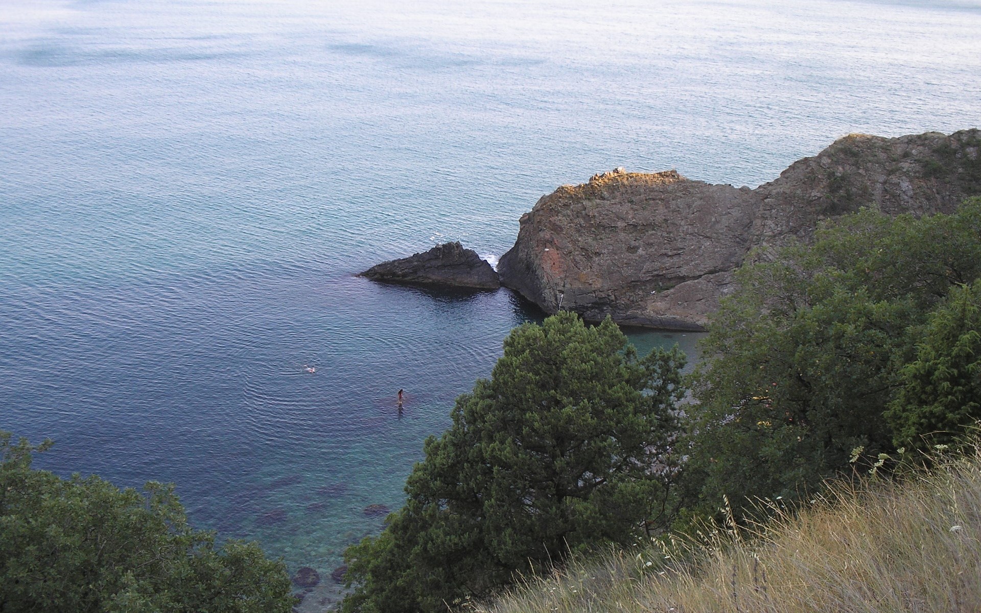 People swimming in the sea near rocky cliffs and trees HD Wallpaper