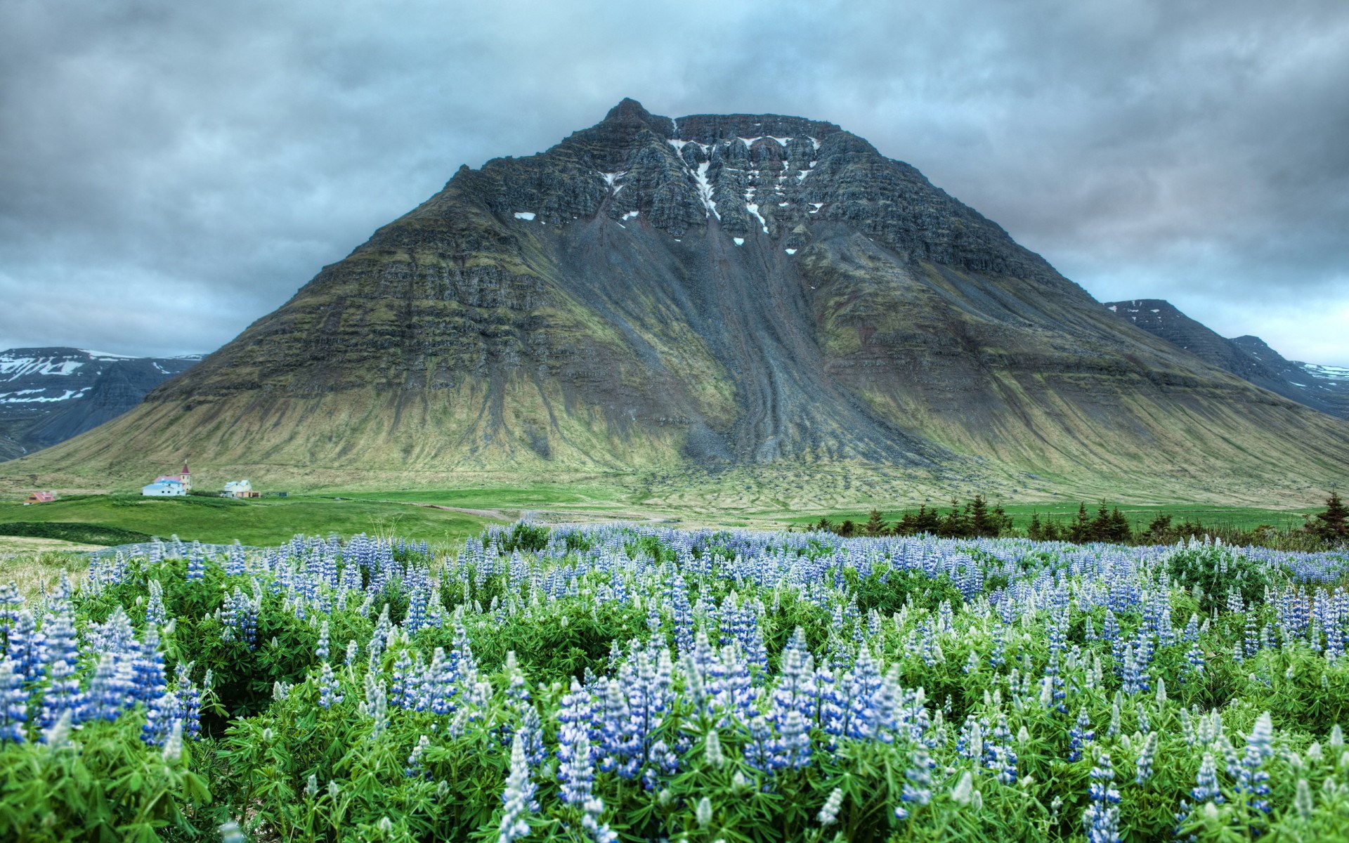 Mountain landscape with lupine flowers and houses HD Wallpaper