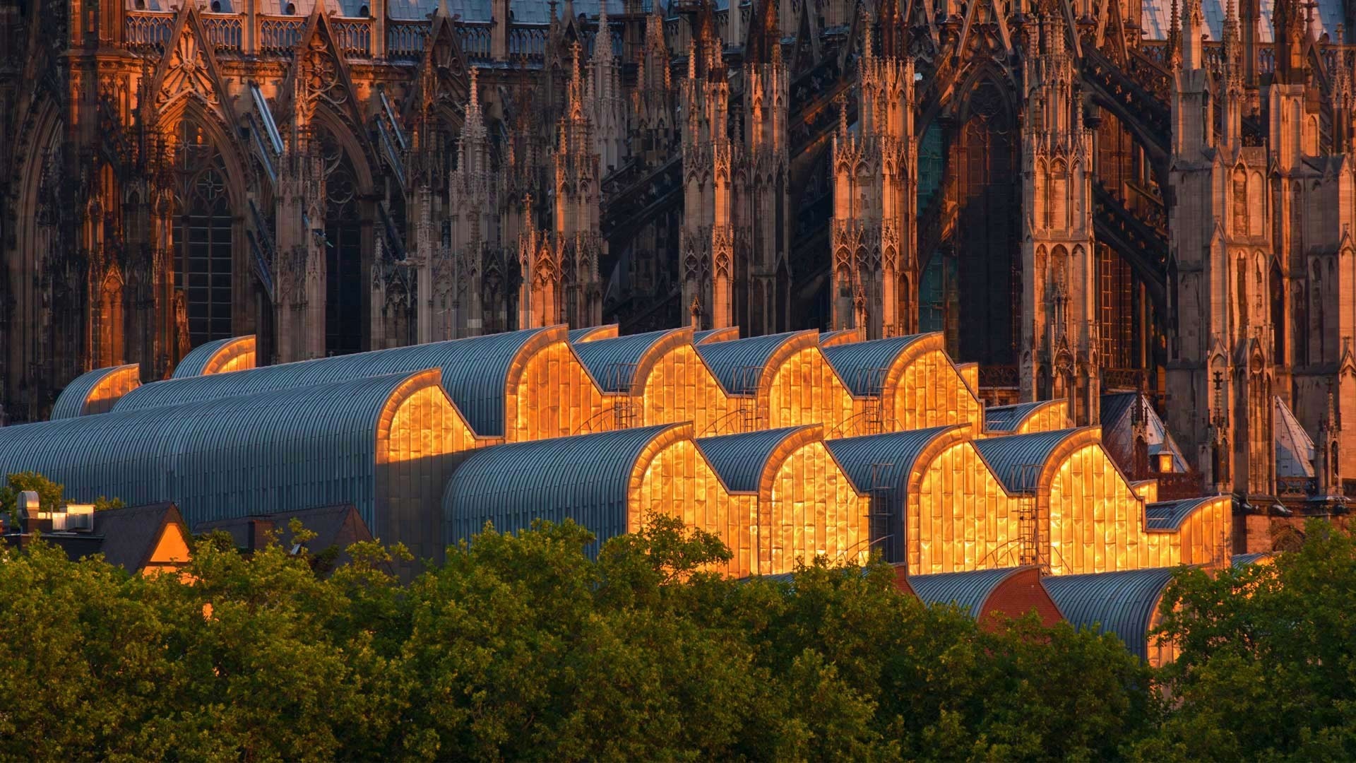 Cologne Cathedral and modern rooftops at sunset HD Wallpaper
