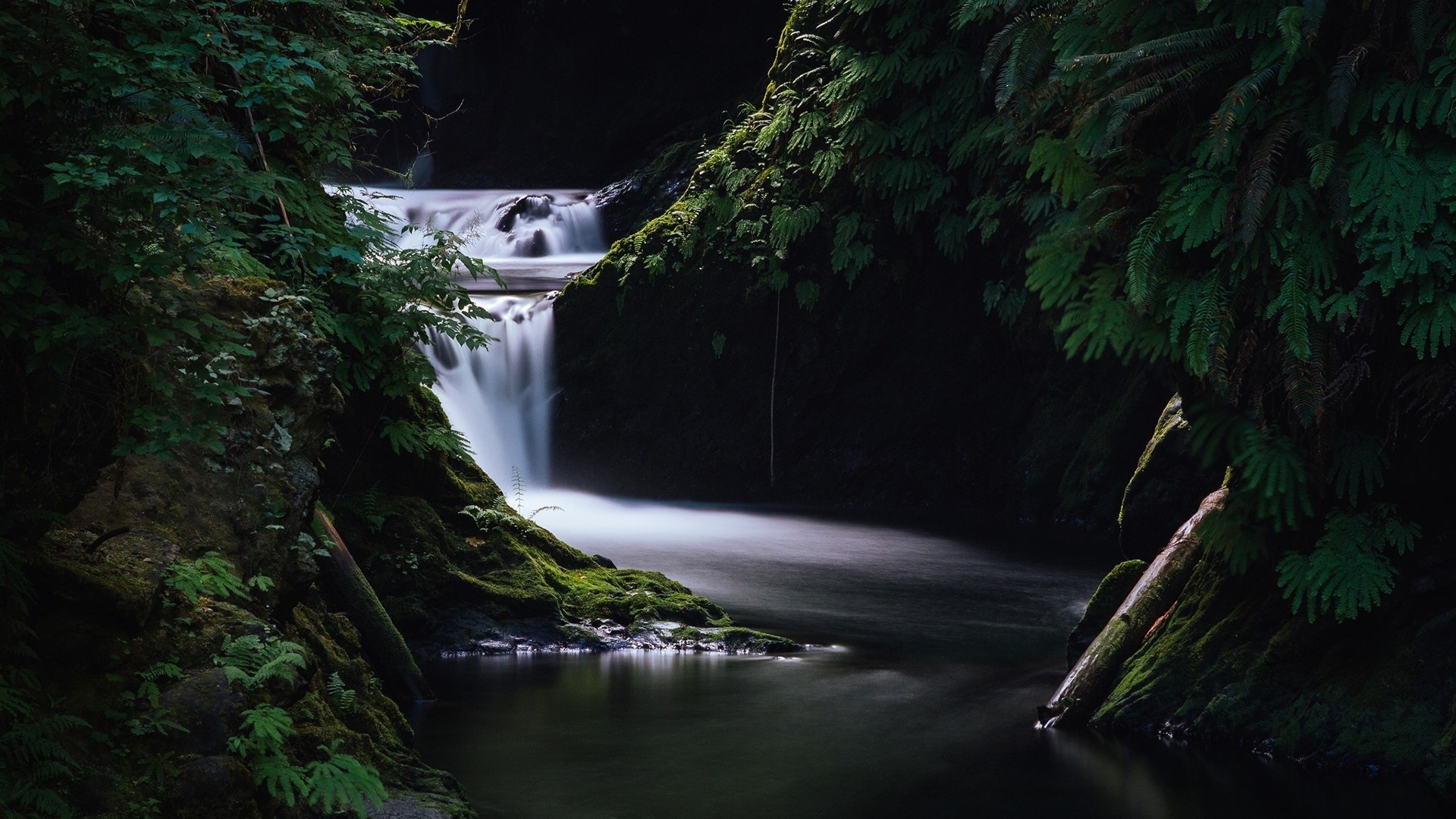 Waterfall flowing through a mossy forest HD Wallpaper
