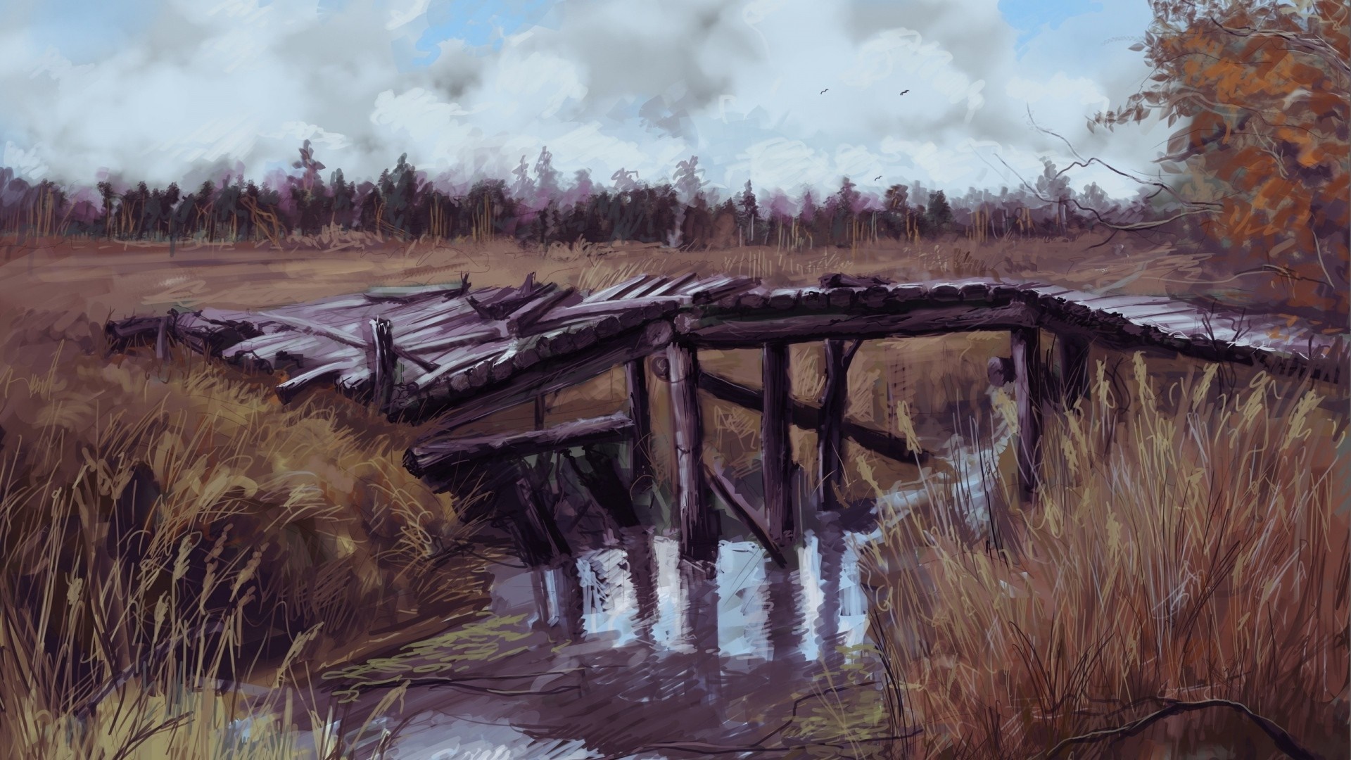 Broken wooden bridge over a stream in a wetland landscape HD Wallpaper
