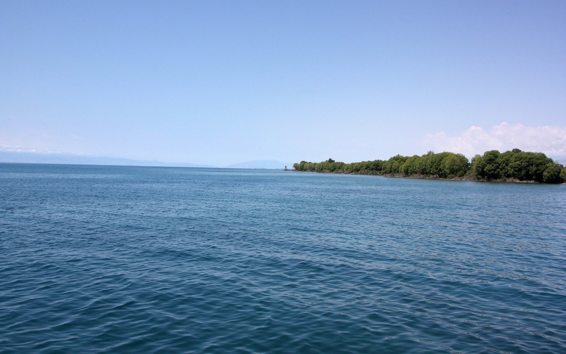 Blue lake with trees on the shore HD Wallpaper