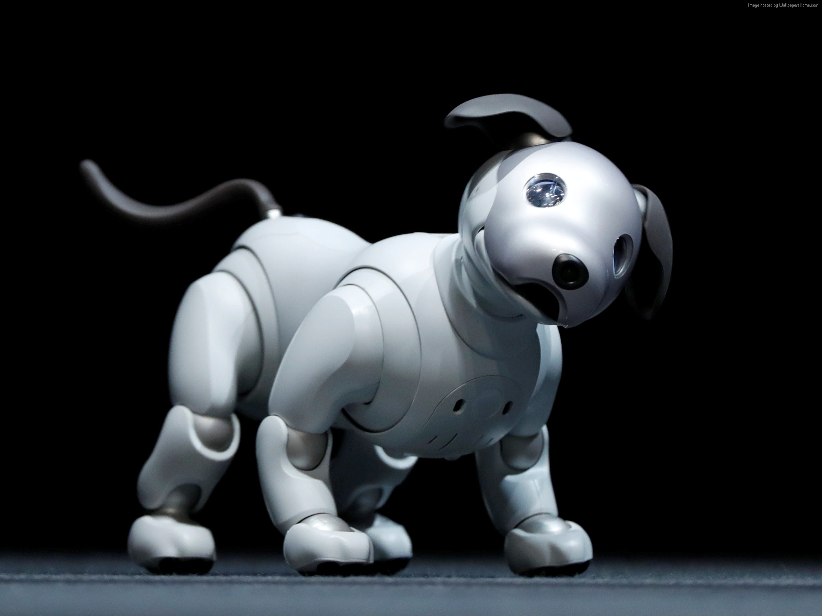 Sony Aibo robot dog HD Wallpaper