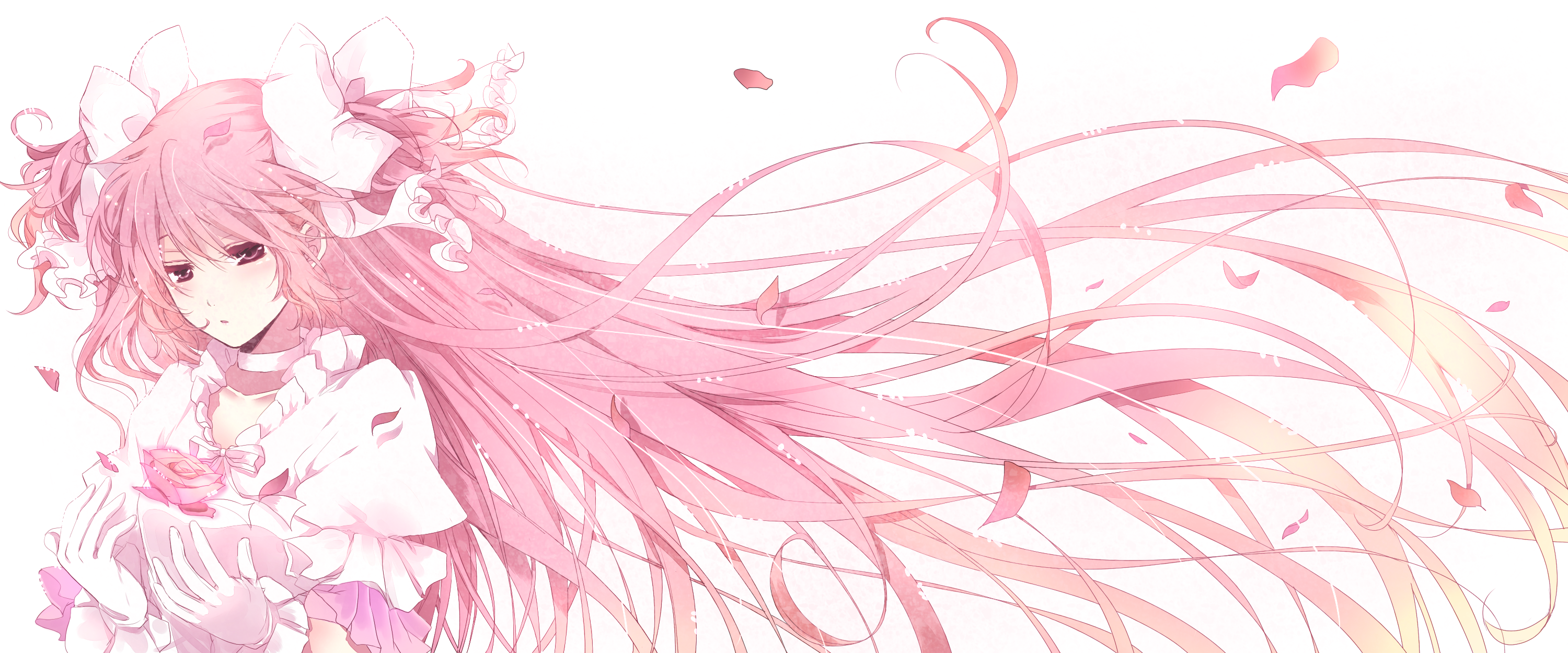 Madoka Kaname from Mahou Shoujo Madoka Magica holding a rose HD Wallpaper