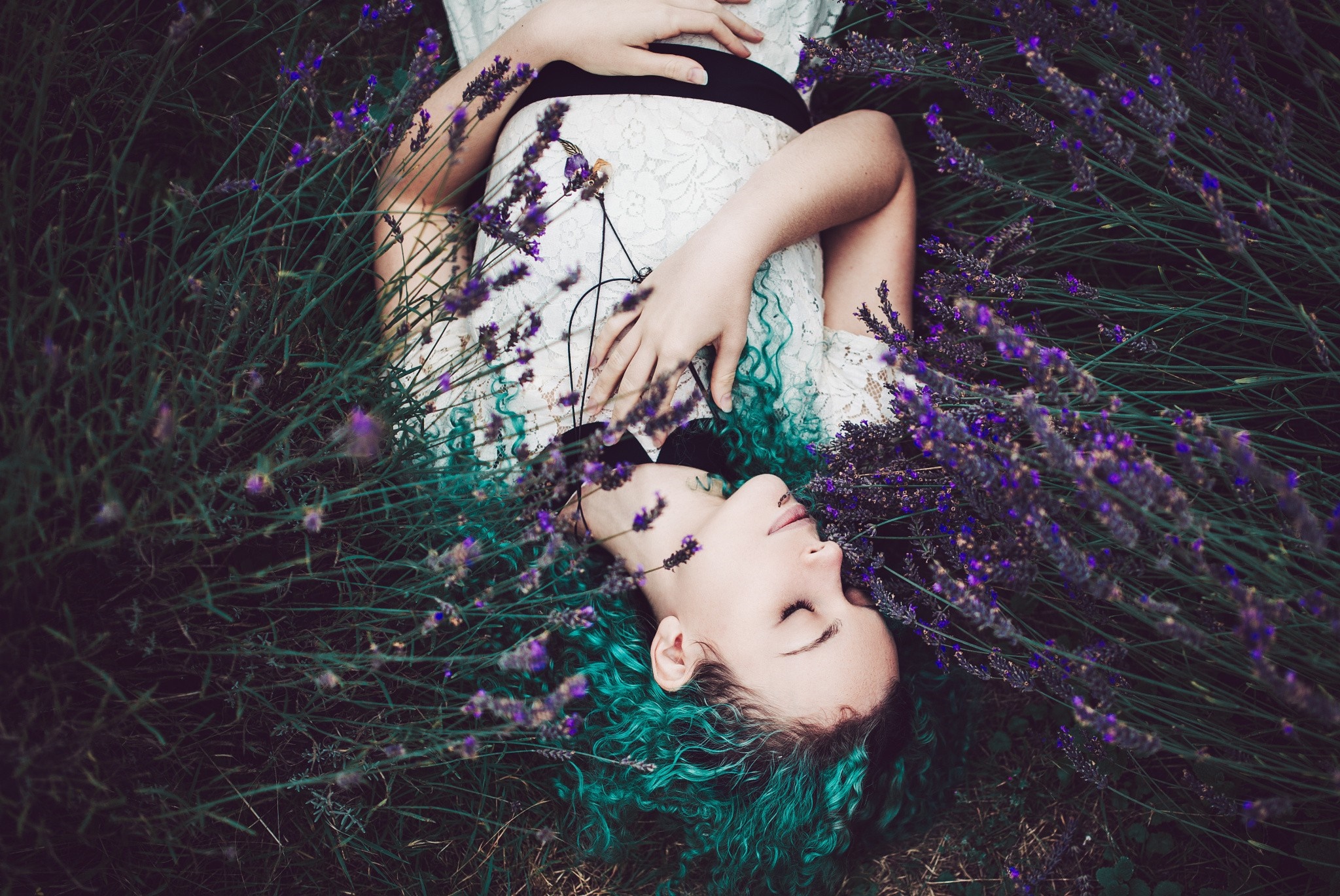 Woman with blue dyed hair lying in lavender field HD Wallpaper