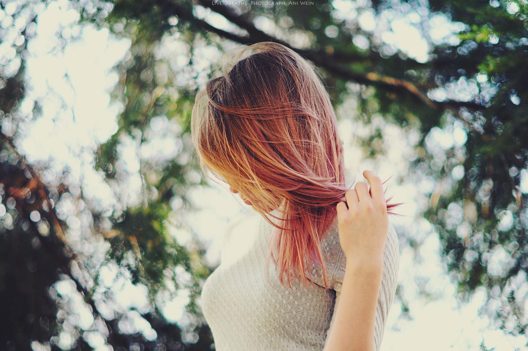 Woman with pink dyed hair outdoors HD Wallpaper
